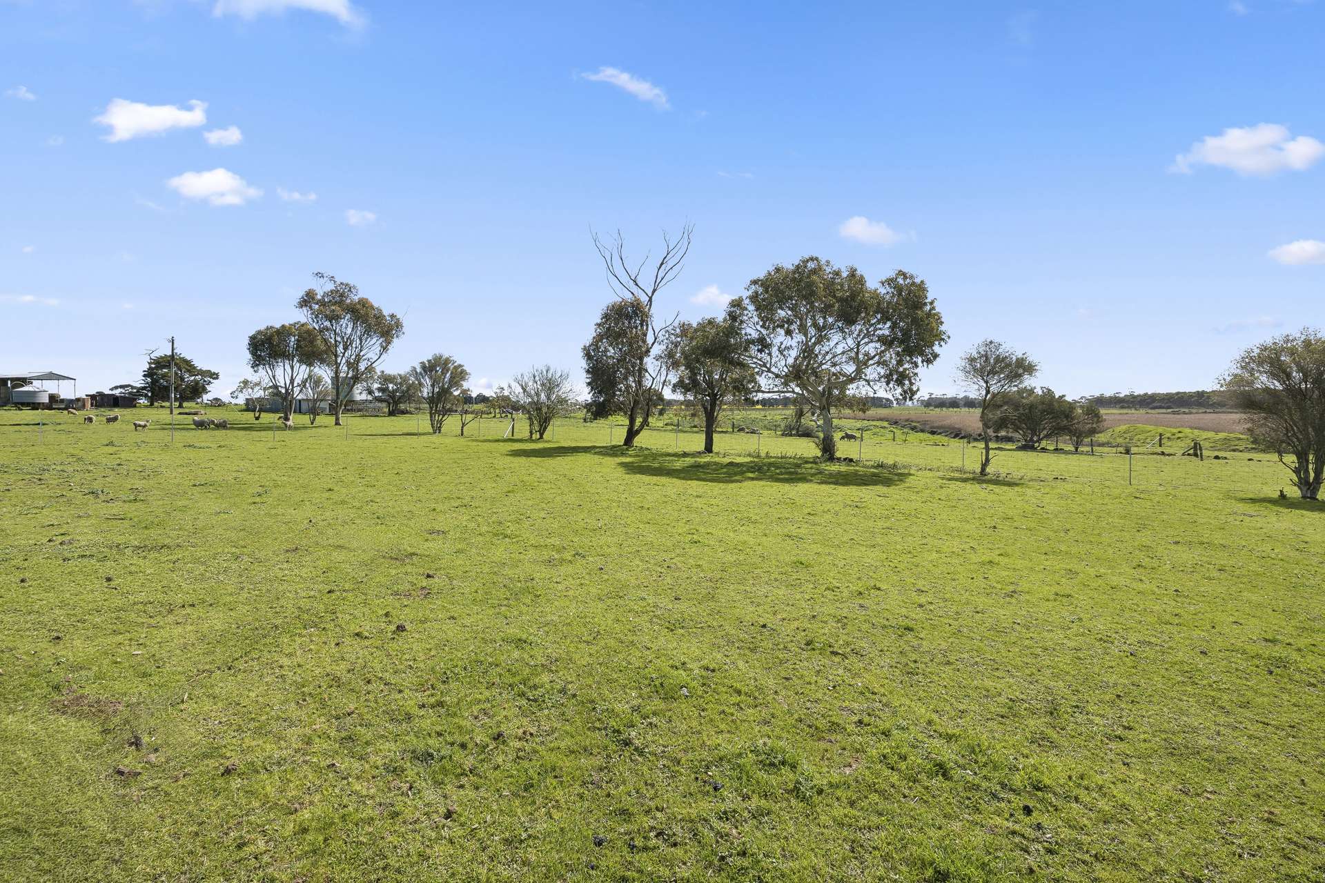 28 Taylor Street, Derrinallum For Sale by Farmbuy.com - image 13