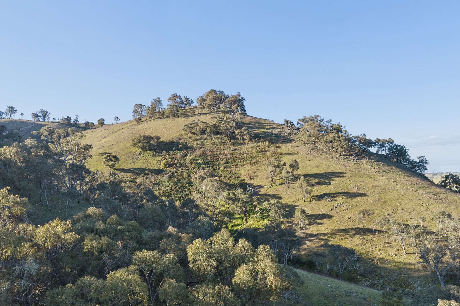 "Traquair", 426 Cavan Road, Yass Auction by Farmbuy.com - image 19