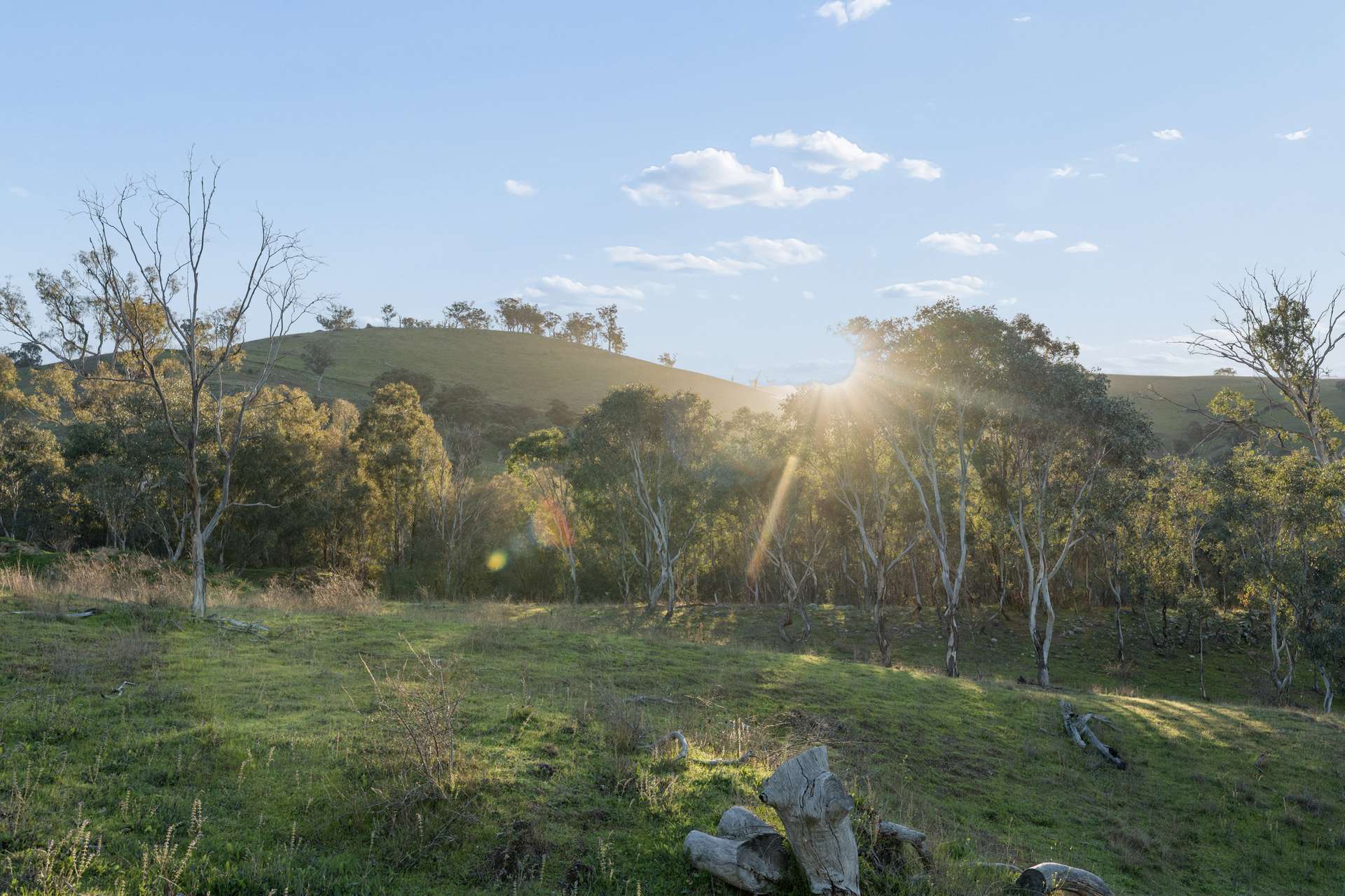 "Traquair", 426 Cavan Road, Yass Auction by Farmbuy.com - image 6