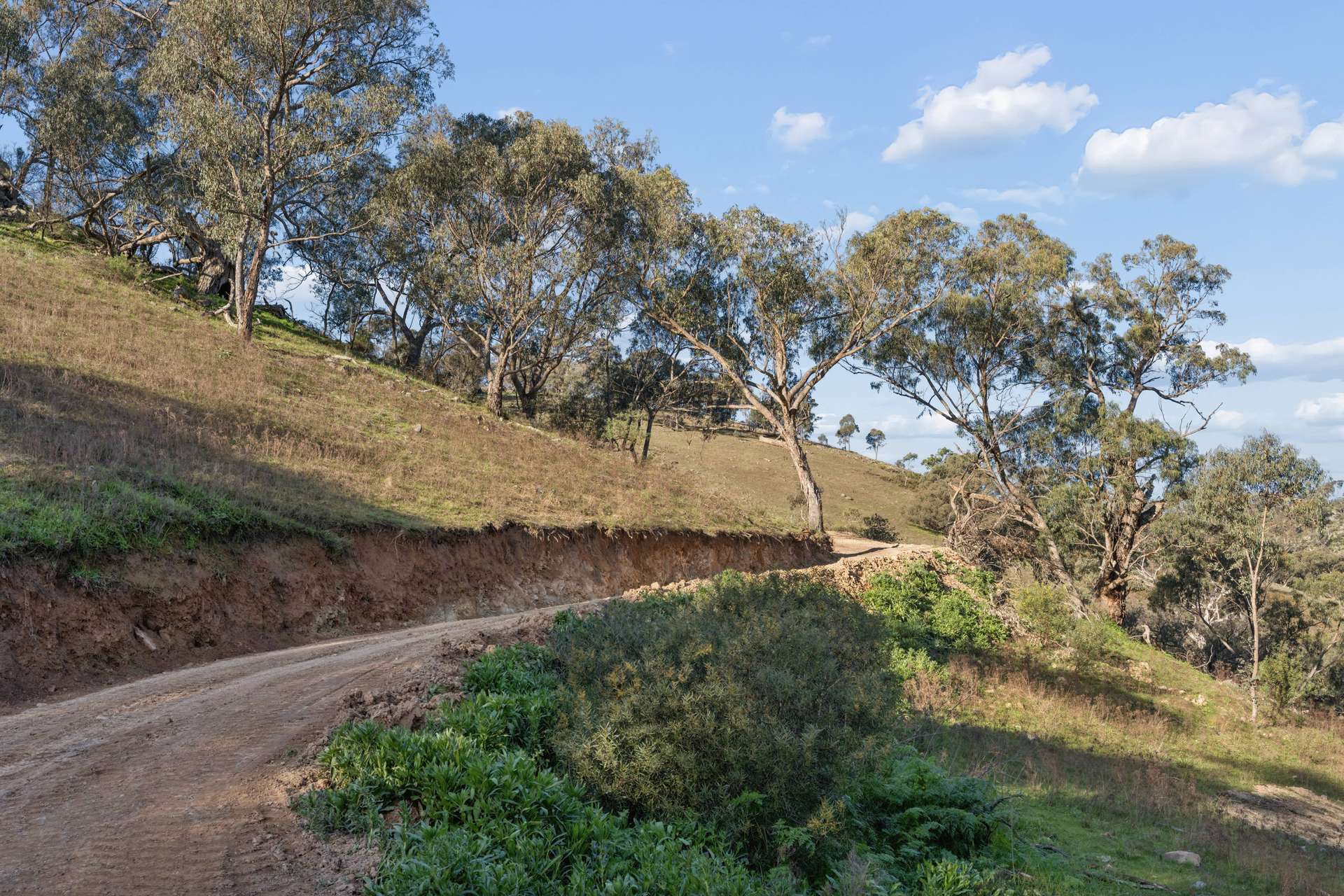 "Traquair", 426 Cavan Road, Yass Auction by Farmbuy.com - image 8