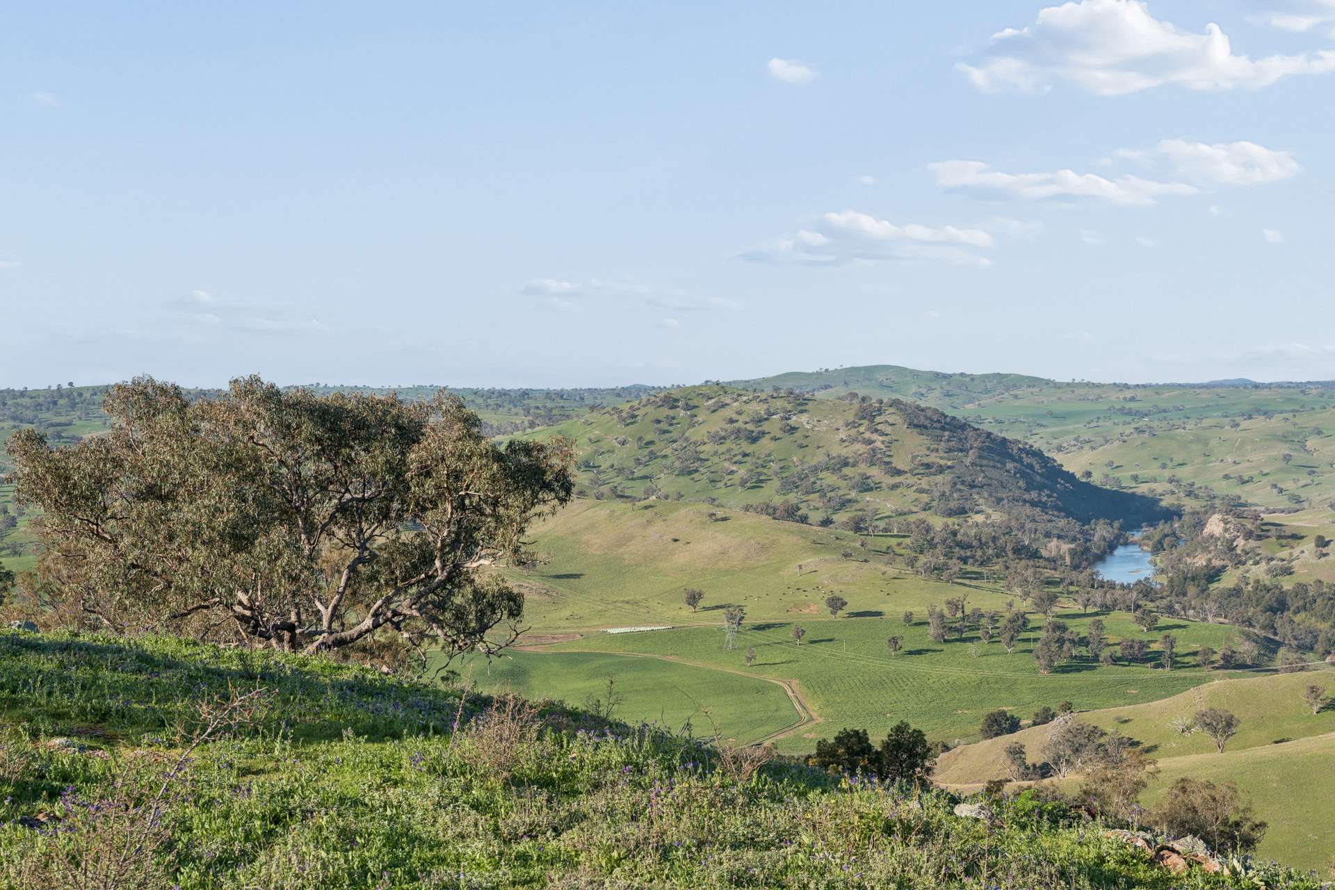 "Traquair", 426 Cavan Road, Yass Auction by Farmbuy.com - image 4