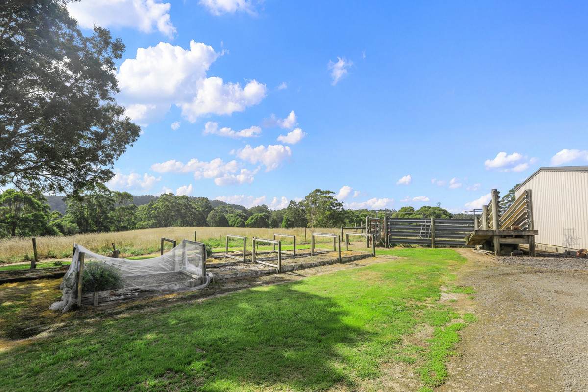 1350 Wild Dog Road, Tanybryn For Sale by Farmbuy.com - image 22