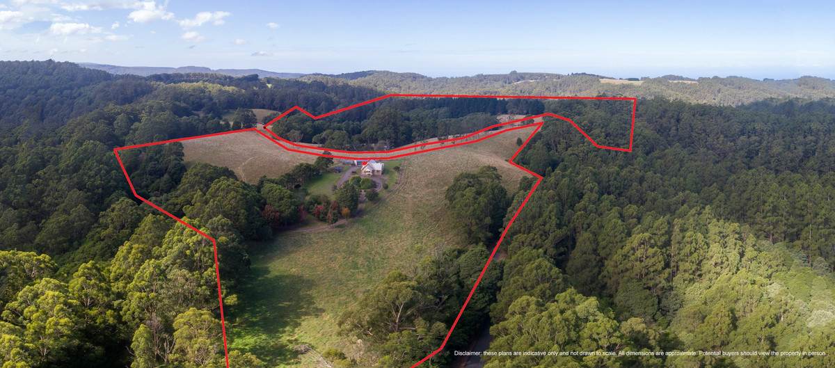 1350 Wild Dog Road, Tanybryn For Sale by Farmbuy.com - image 33