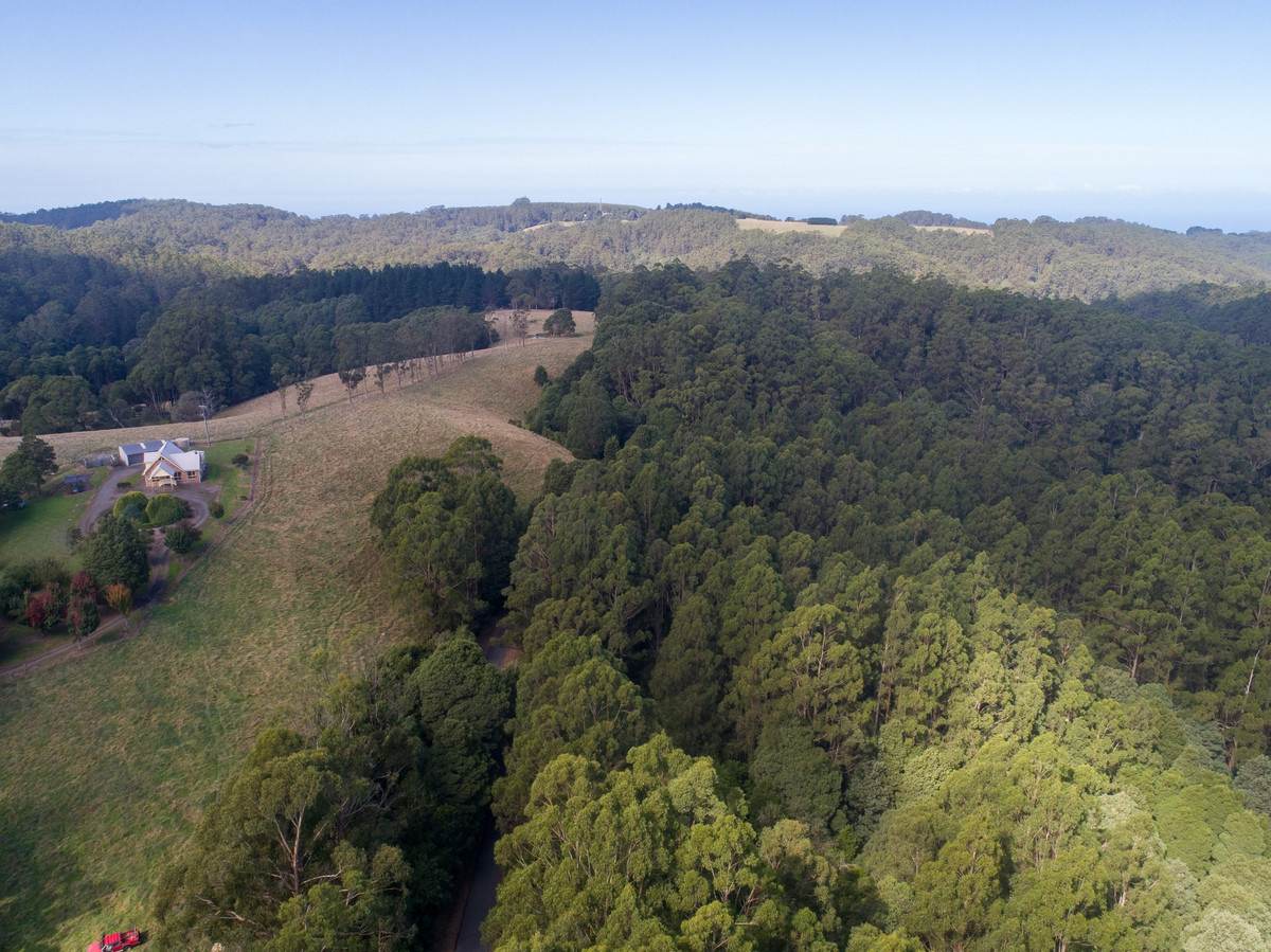 1350 Wild Dog Road, Tanybryn For Sale by Farmbuy.com - image 32