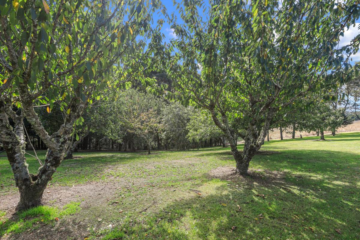 1350 Wild Dog Road, Tanybryn For Sale by Farmbuy.com - image 26