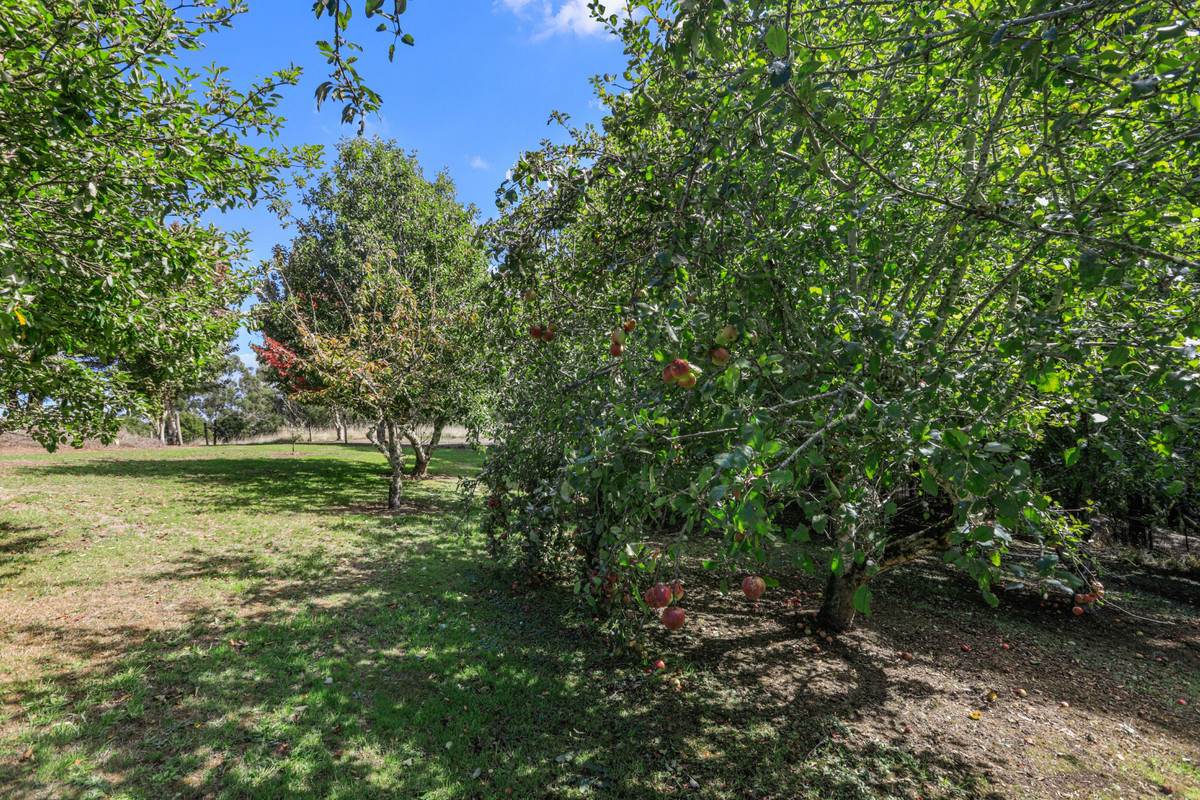 1350 Wild Dog Road, Tanybryn For Sale by Farmbuy.com - image 27