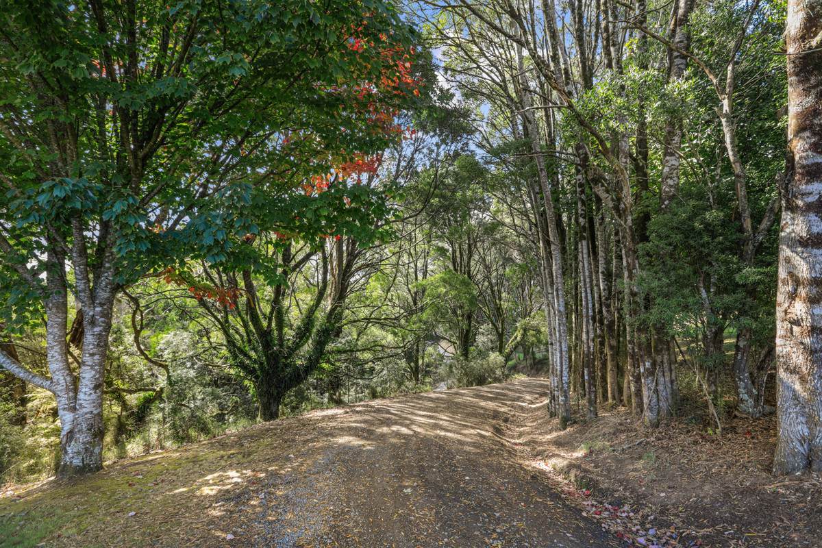 1350 Wild Dog Road, Tanybryn For Sale by Farmbuy.com - image 4
