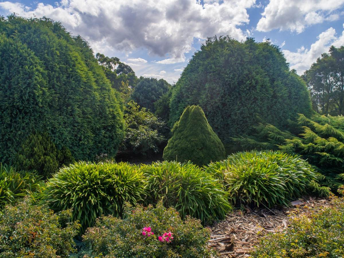 1350 Wild Dog Road, Tanybryn For Sale by Farmbuy.com - image 29