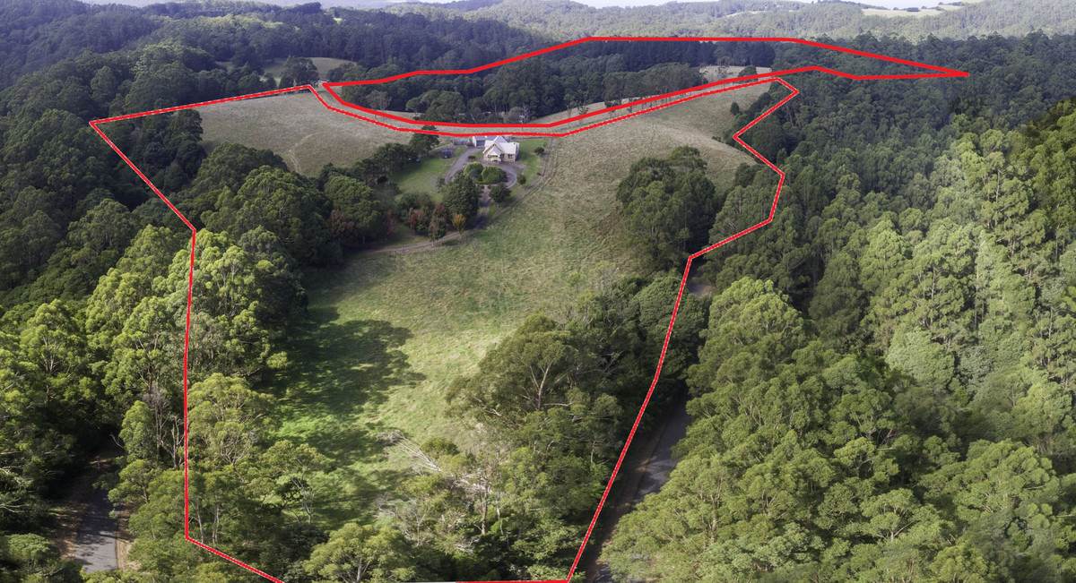 1350 Wild Dog Road, Tanybryn For Sale by Farmbuy.com - image 3