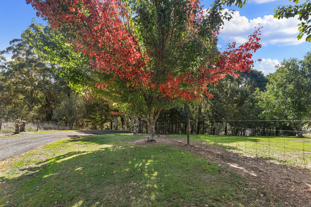 1350 Wild Dog Road, Tanybryn For Sale by Farmbuy.com - image 28