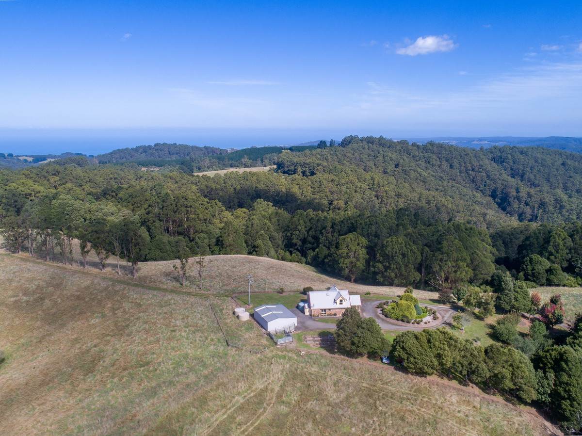 1350 Wild Dog Road, Tanybryn For Sale by Farmbuy.com - image 31
