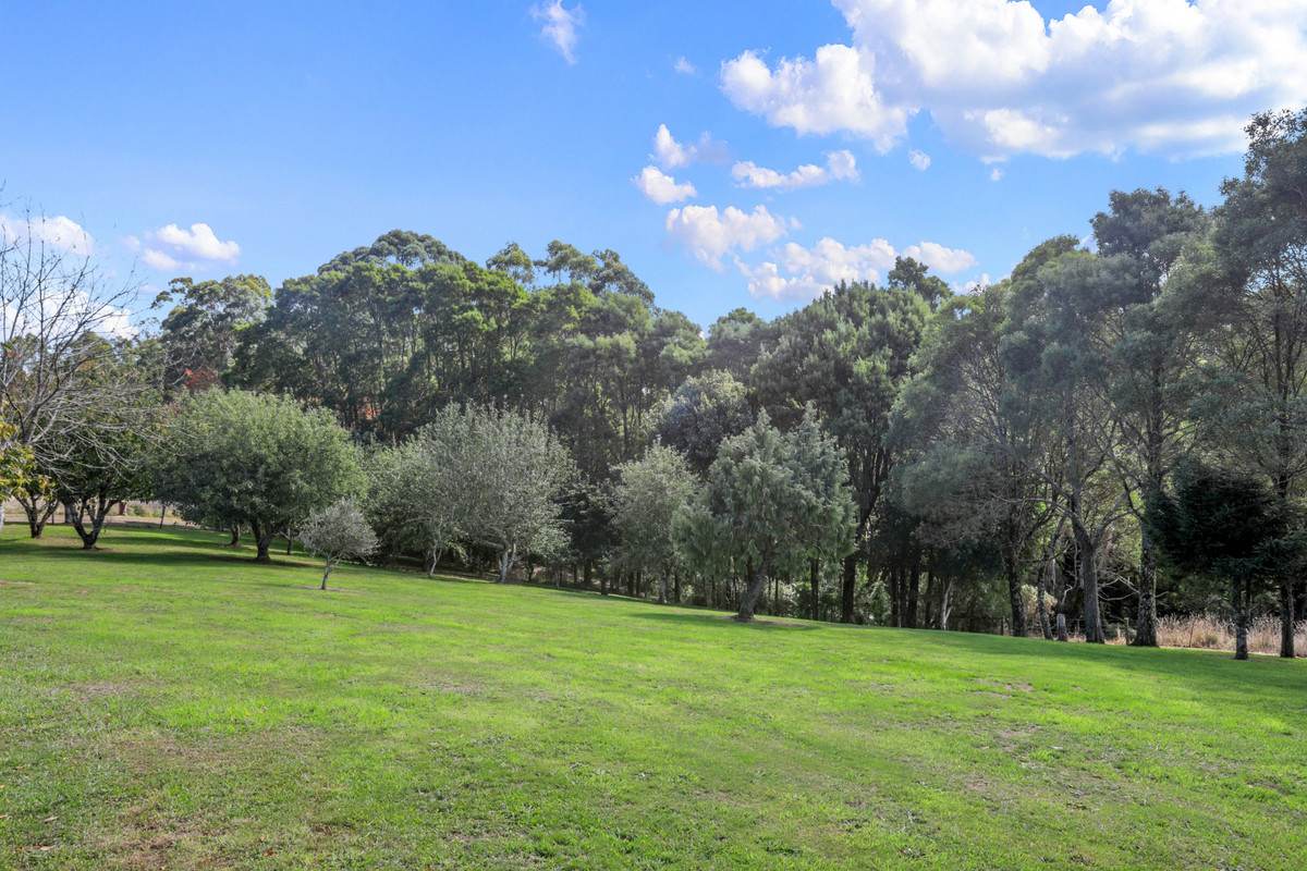 1350 Wild Dog Road, Tanybryn For Sale by Farmbuy.com - image 24