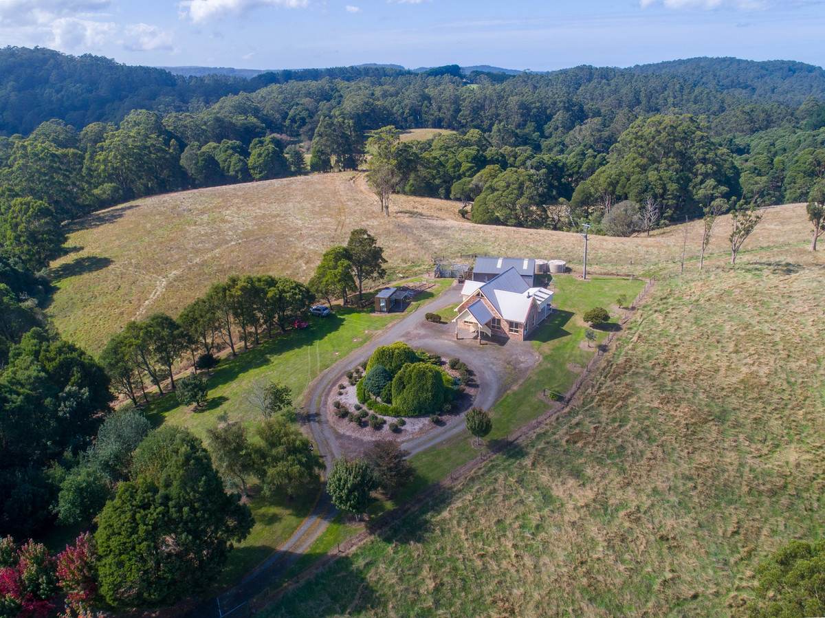 1350 Wild Dog Road, Tanybryn For Sale by Farmbuy.com - image 2