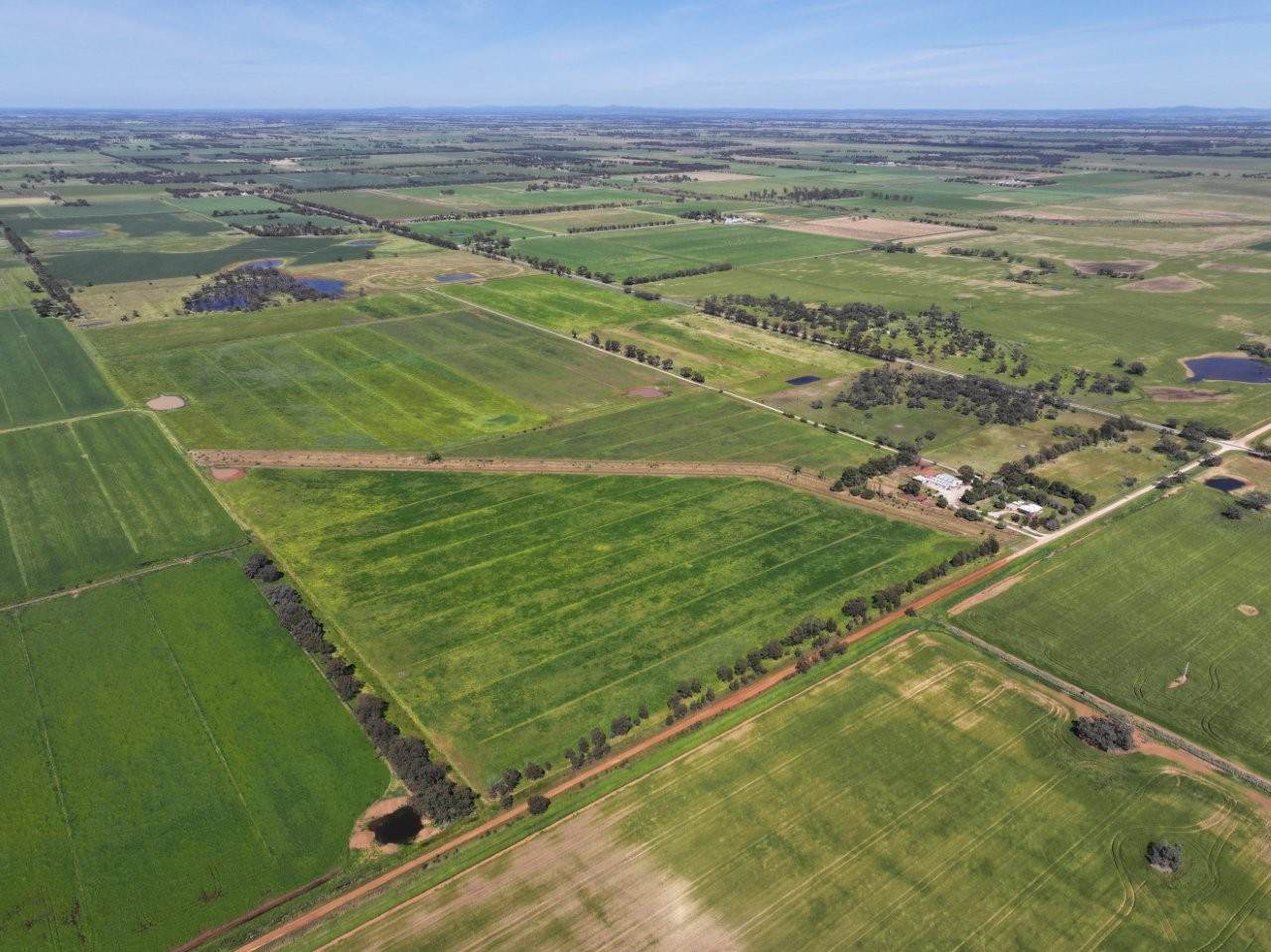 1214 Mologa-Durham Ox Road, Yarrawalla For Sale by Farmbuy.com - image 16