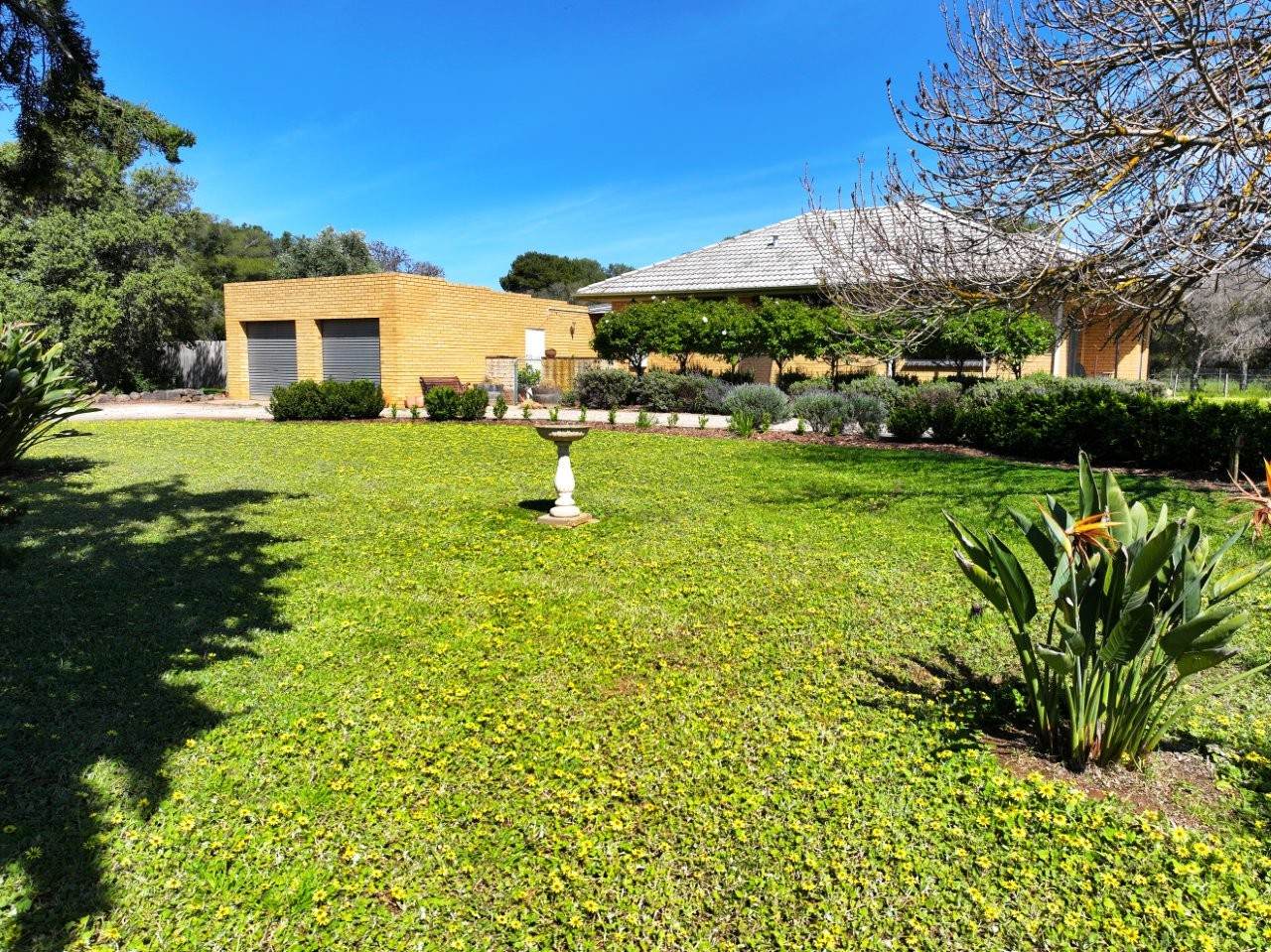 1214 Mologa-Durham Ox Road, Yarrawalla For Sale by Farmbuy.com - image 15