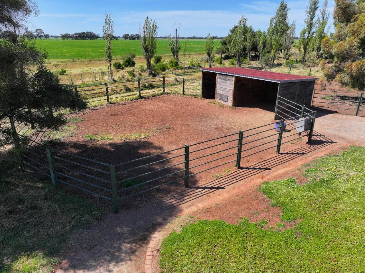 1214 Mologa-Durham Ox Road, Yarrawalla For Sale by Farmbuy.com - image 22