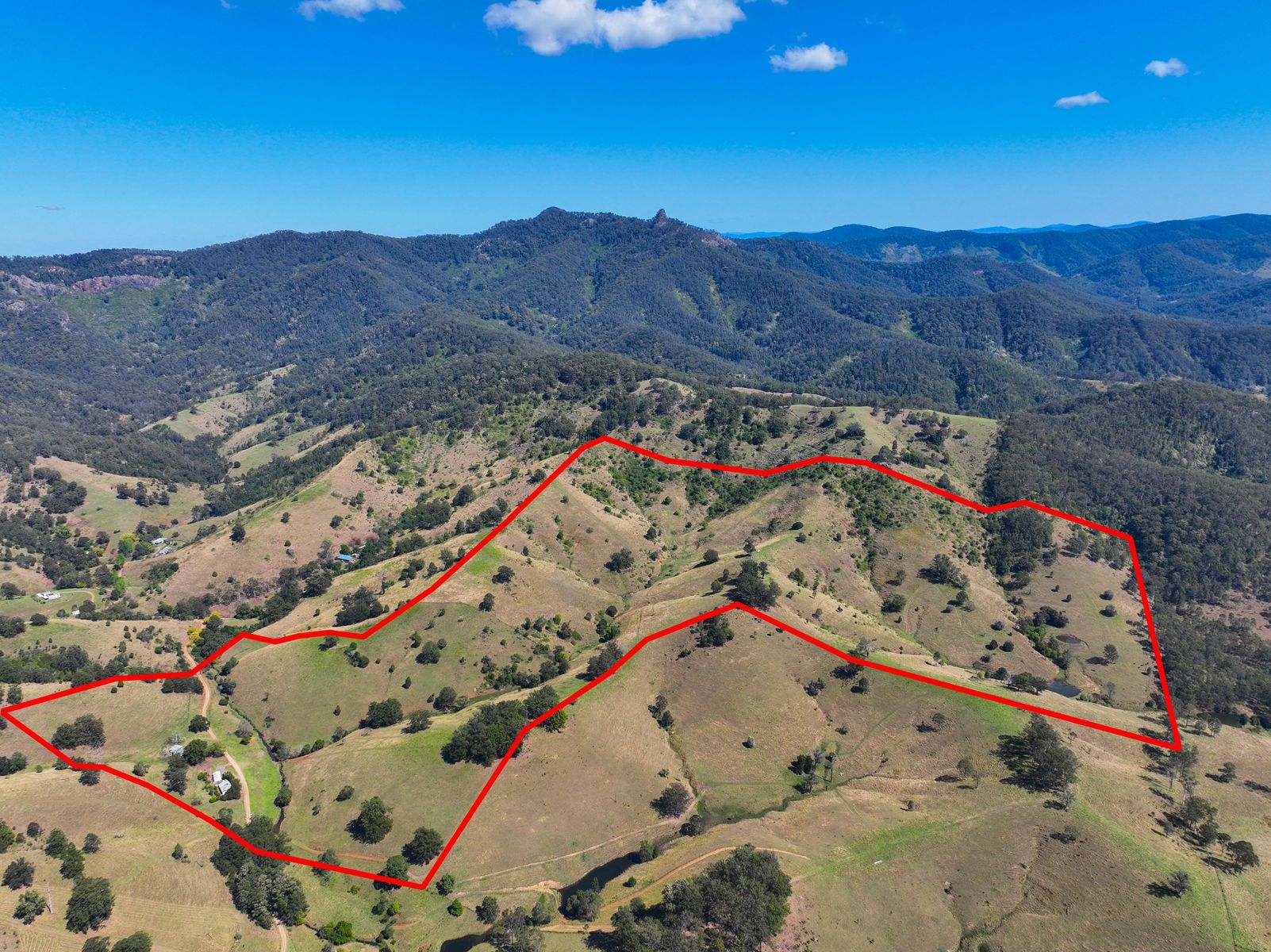 207 Butchers Creek Road, Wherrol Flat Sold by Farmbuy.com - image 2