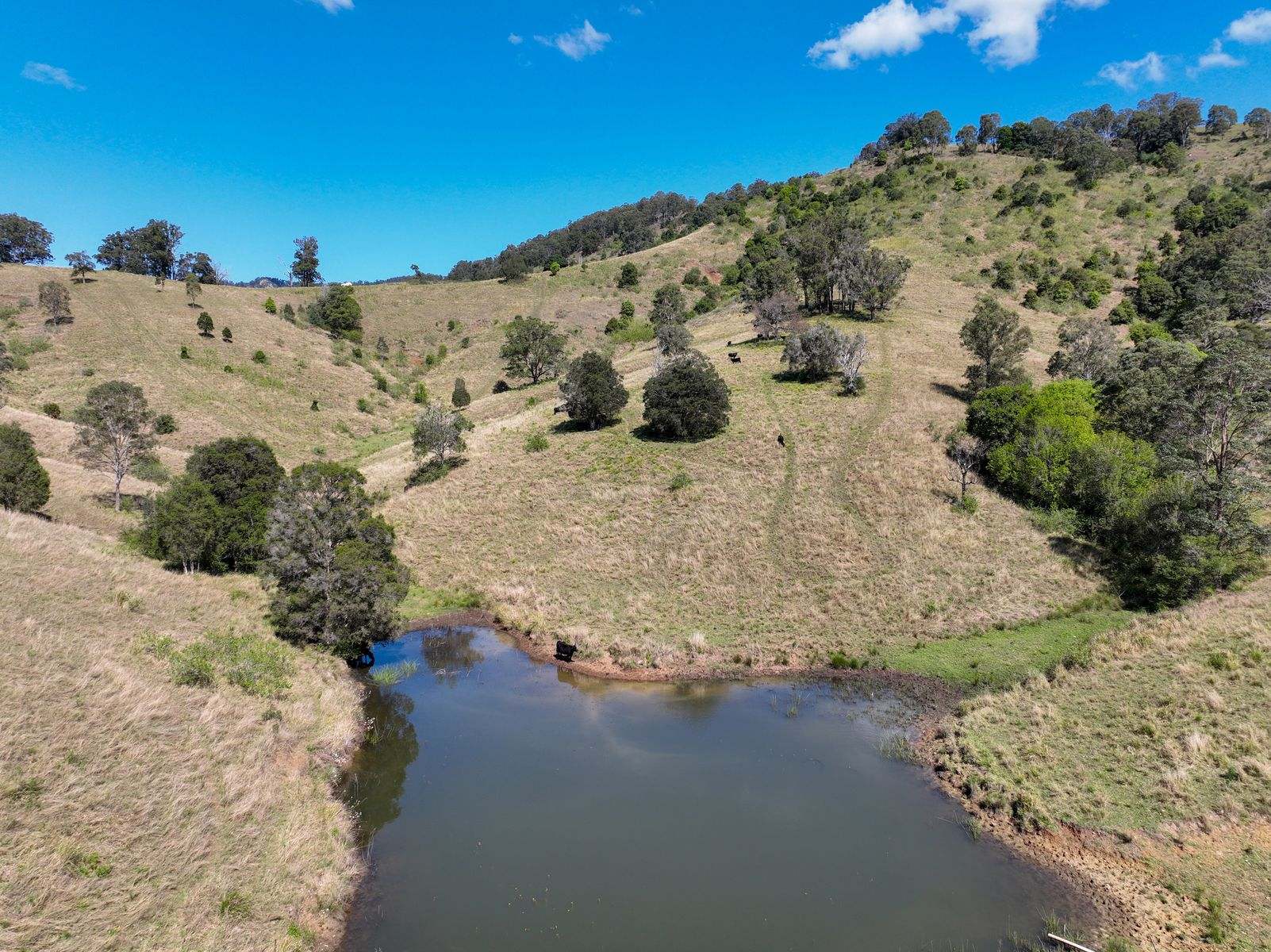 207 Butchers Creek Road, Wherrol Flat Sold by Farmbuy.com - image 21