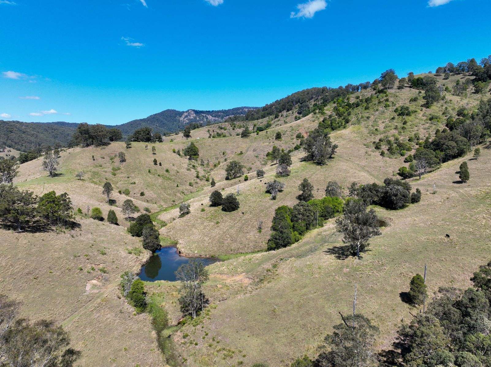 207 Butchers Creek Road, Wherrol Flat Sold by Farmbuy.com - image 24