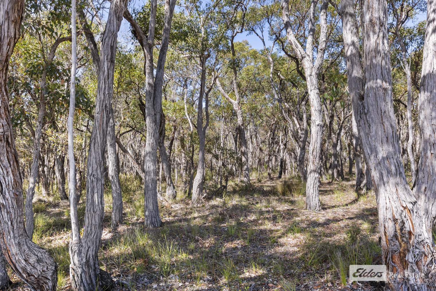 375 Crockerup Road, Mount Barker For Sale by Farmbuy.com - image 25