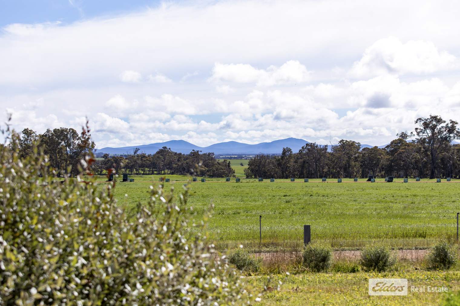 375 Crockerup Road, Mount Barker For Sale by Farmbuy.com - image 6