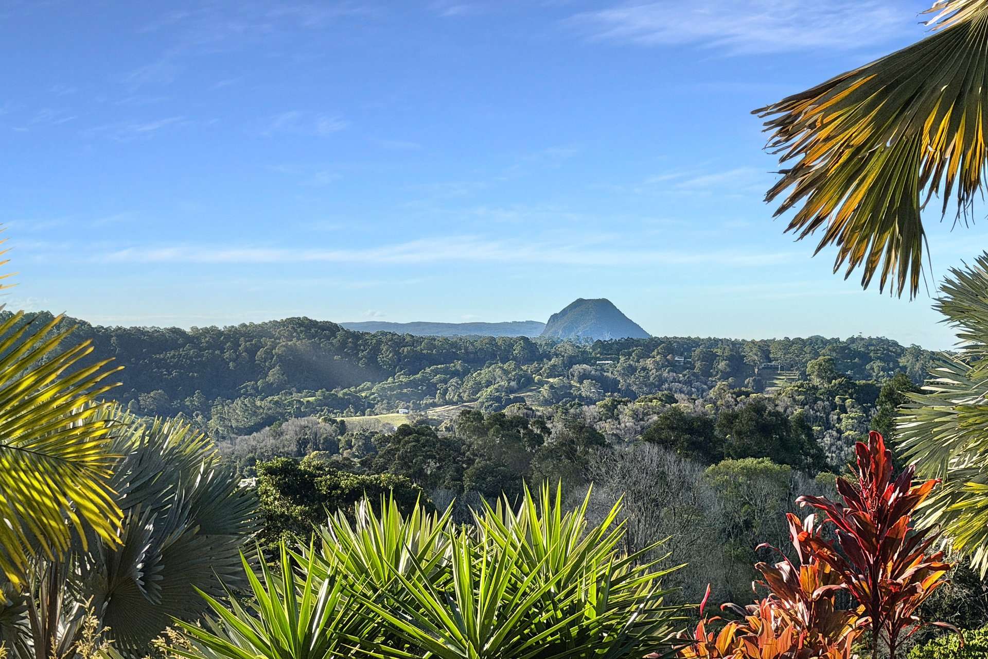 922 Cooroy Belli Creek Road, Ridgewood For Sale by Farmbuy.com - image 4