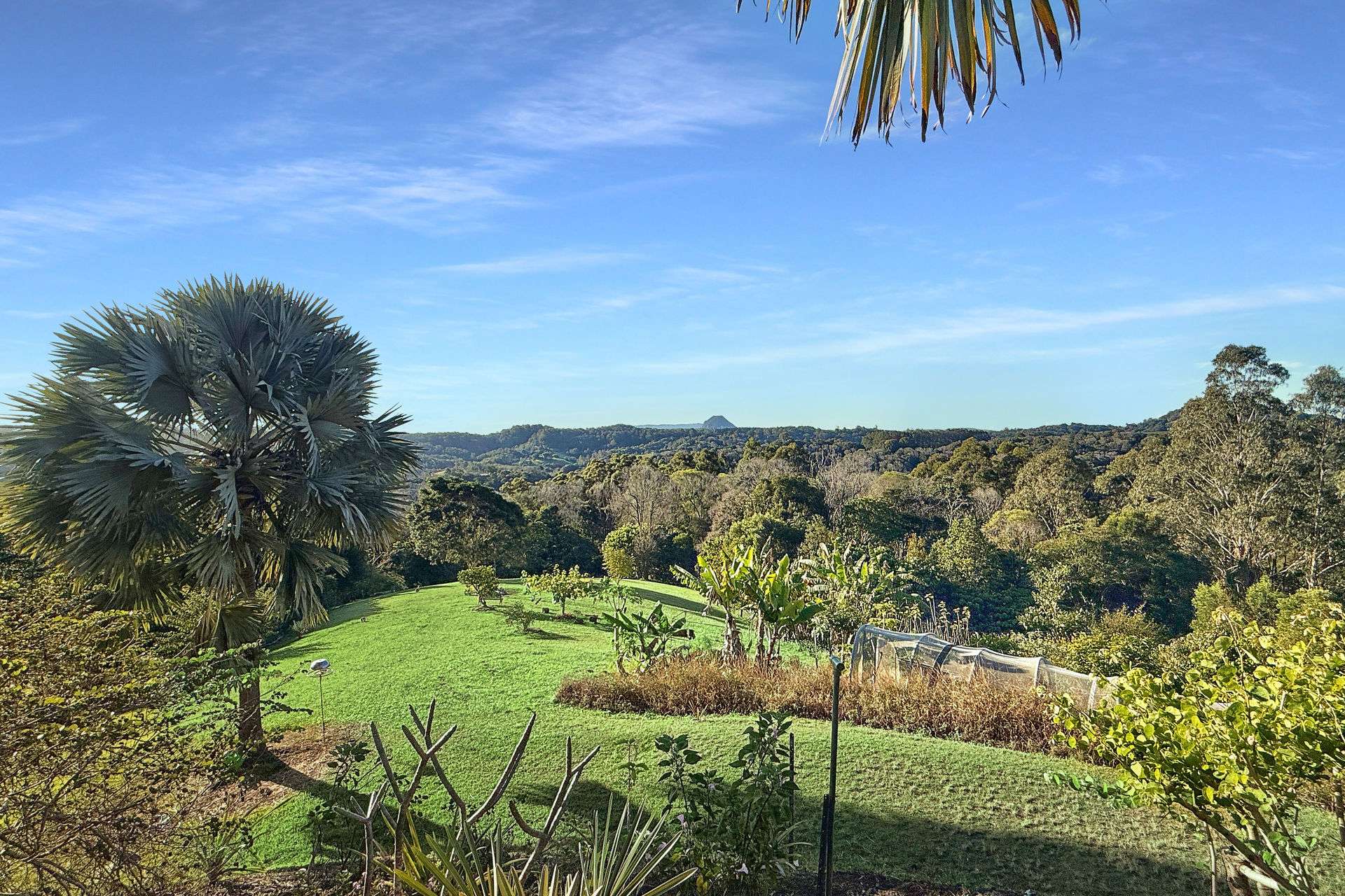922 Cooroy Belli Creek Road, Ridgewood For Sale by Farmbuy.com - image 19
