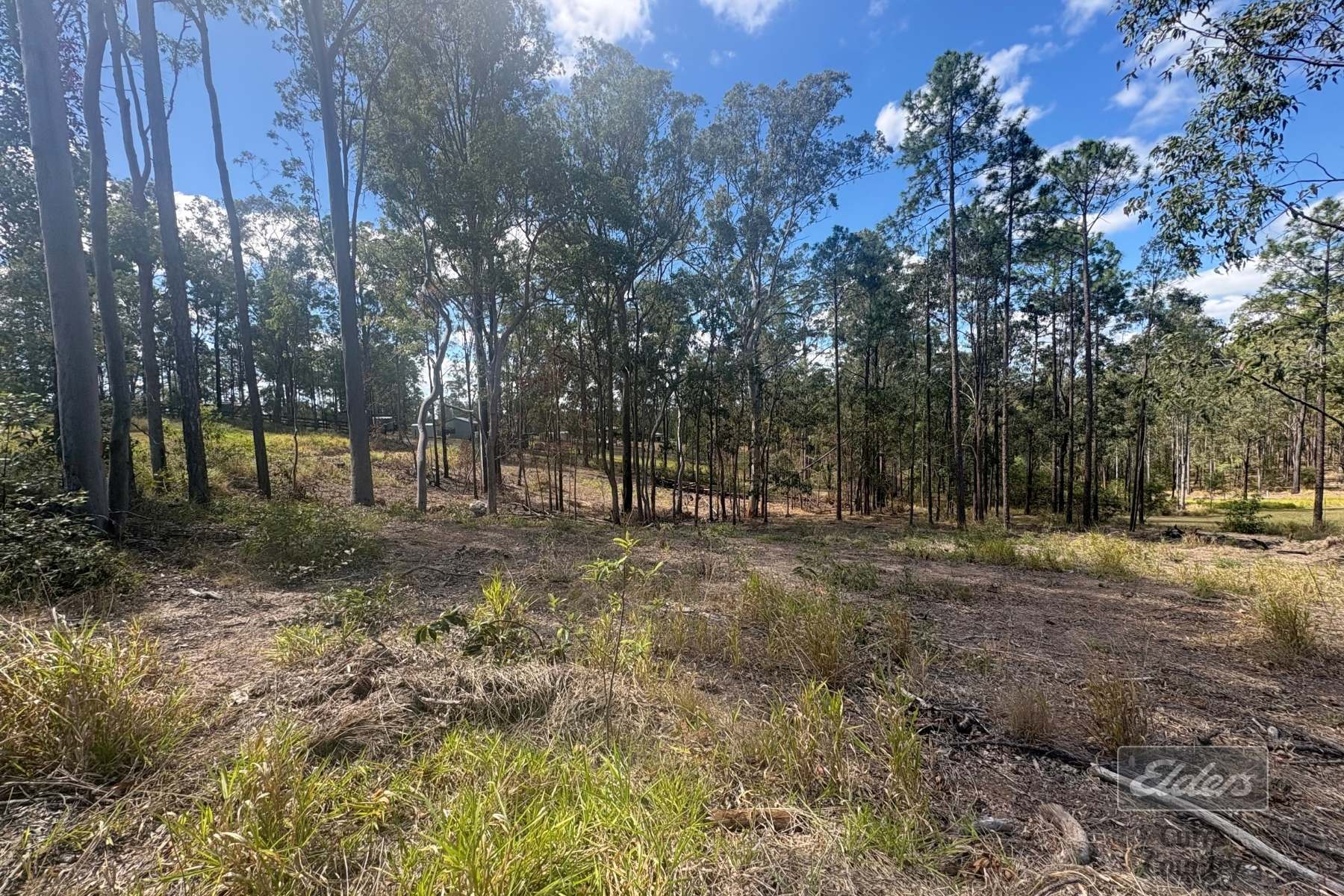 Lot 183 Arbortwenty Nine Road, Glenwood For Sale by Farmbuy.com - image 5