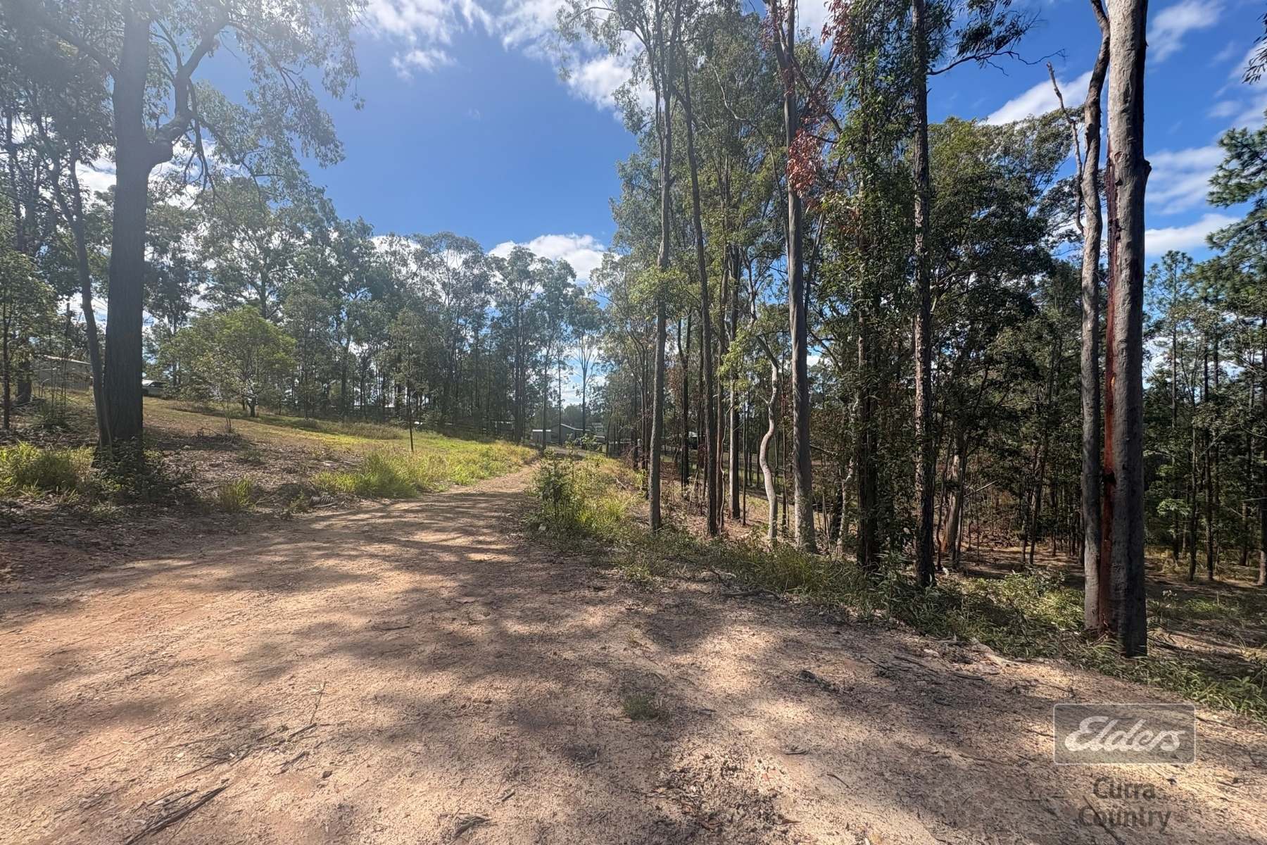 Lot 183 Arbortwenty Nine Road, Glenwood For Sale by Farmbuy.com - image 8