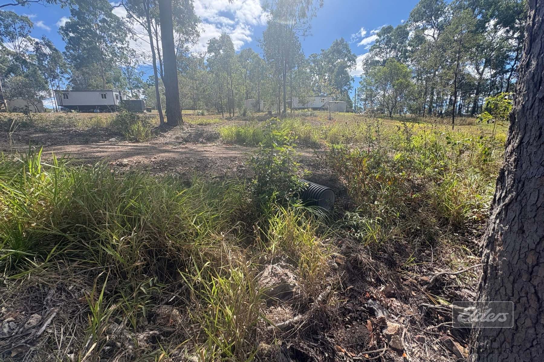 Lot 183 Arbortwenty Nine Road, Glenwood For Sale by Farmbuy.com - image 9