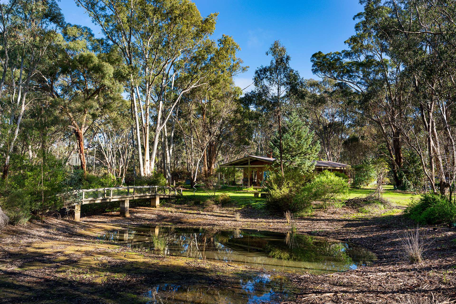 893 Fogarty's Gap Road, Walmer For Sale by Farmbuy.com - image 13
