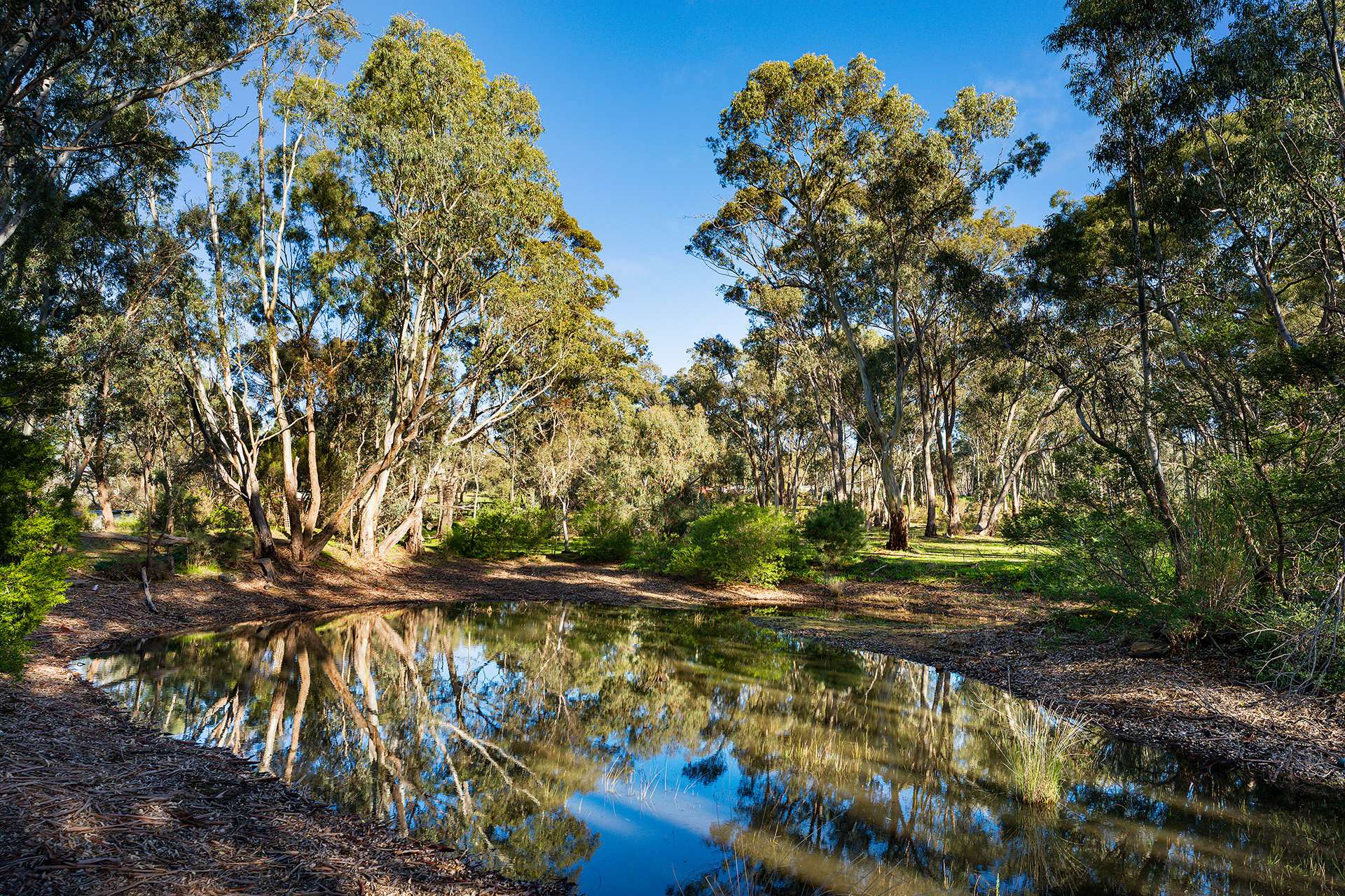 893 Fogartys Gap Road, Walmer For Sale by Farmbuy.com - image 14