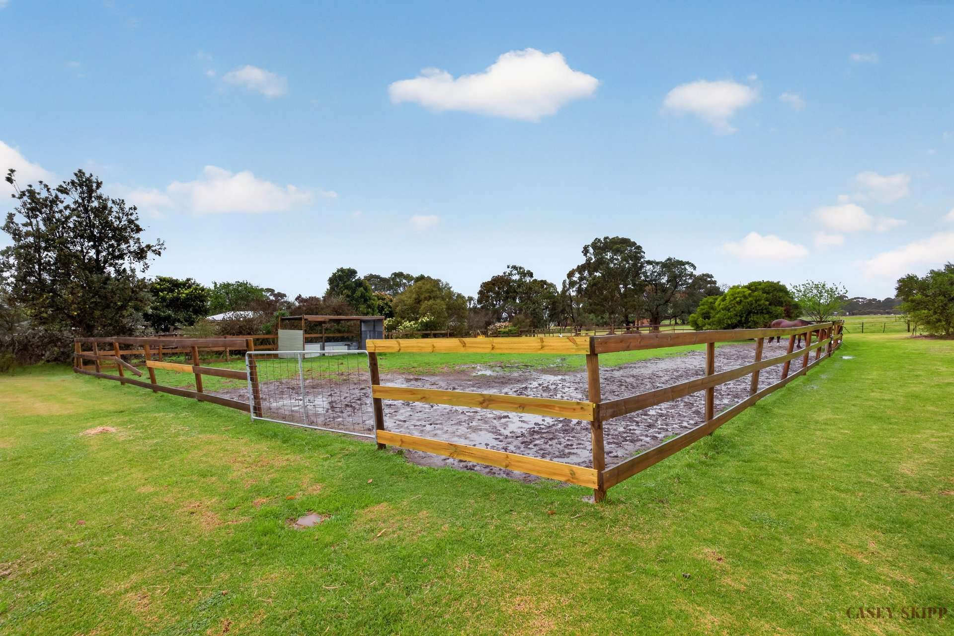 5 Mctaggarts Road, Eagle Point For Sale by Farmbuy.com - image 17