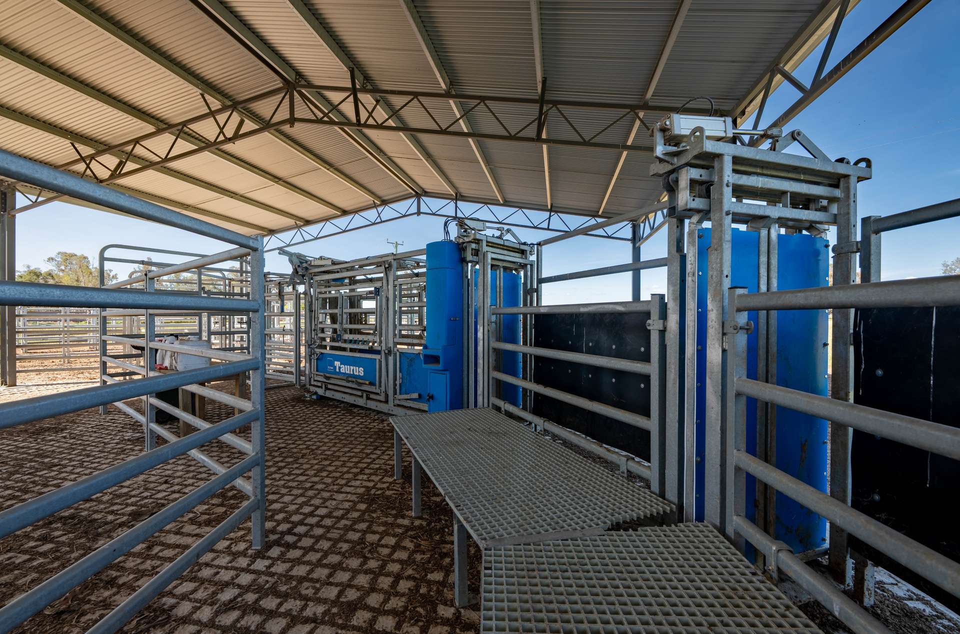 "Walangle" 84 Ercildoune Lane, Forbes Tender by Farmbuy.com - image 26