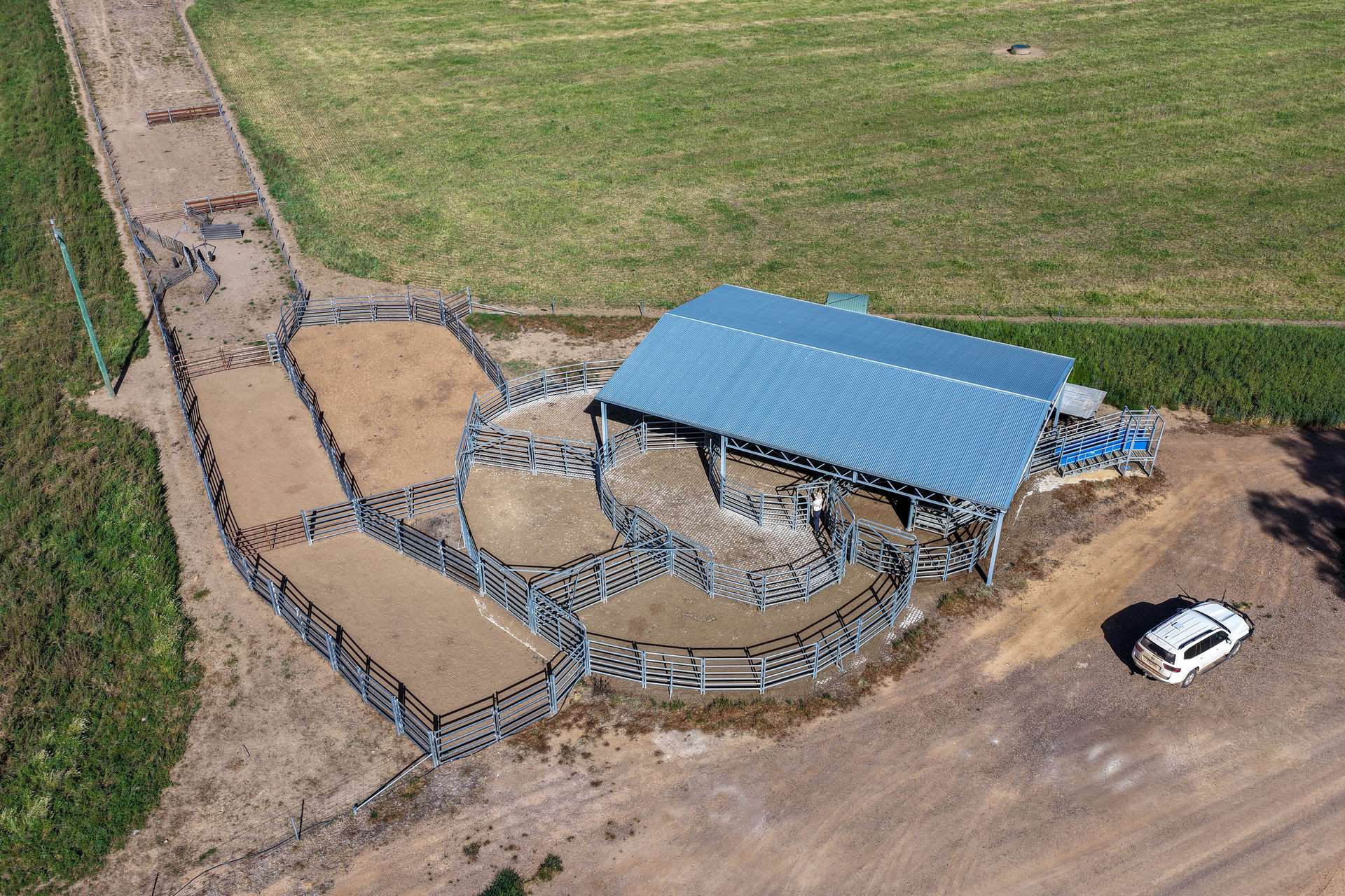 "Walangle" 84 Ercildoune Lane, Forbes Tender by Farmbuy.com - image 8