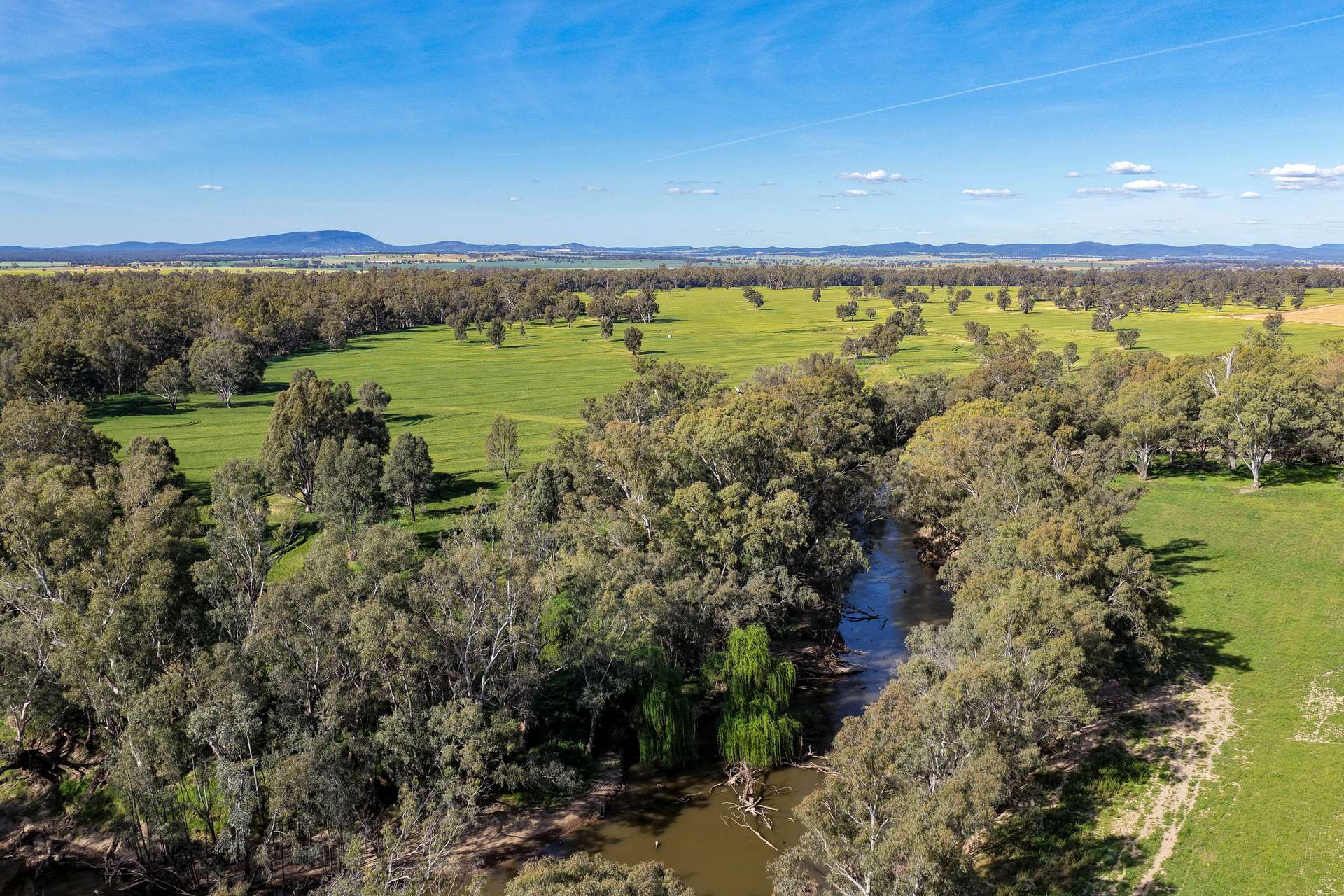 "Walangle" 84 Ercildoune Lane, Forbes Tender by Farmbuy.com - image 19