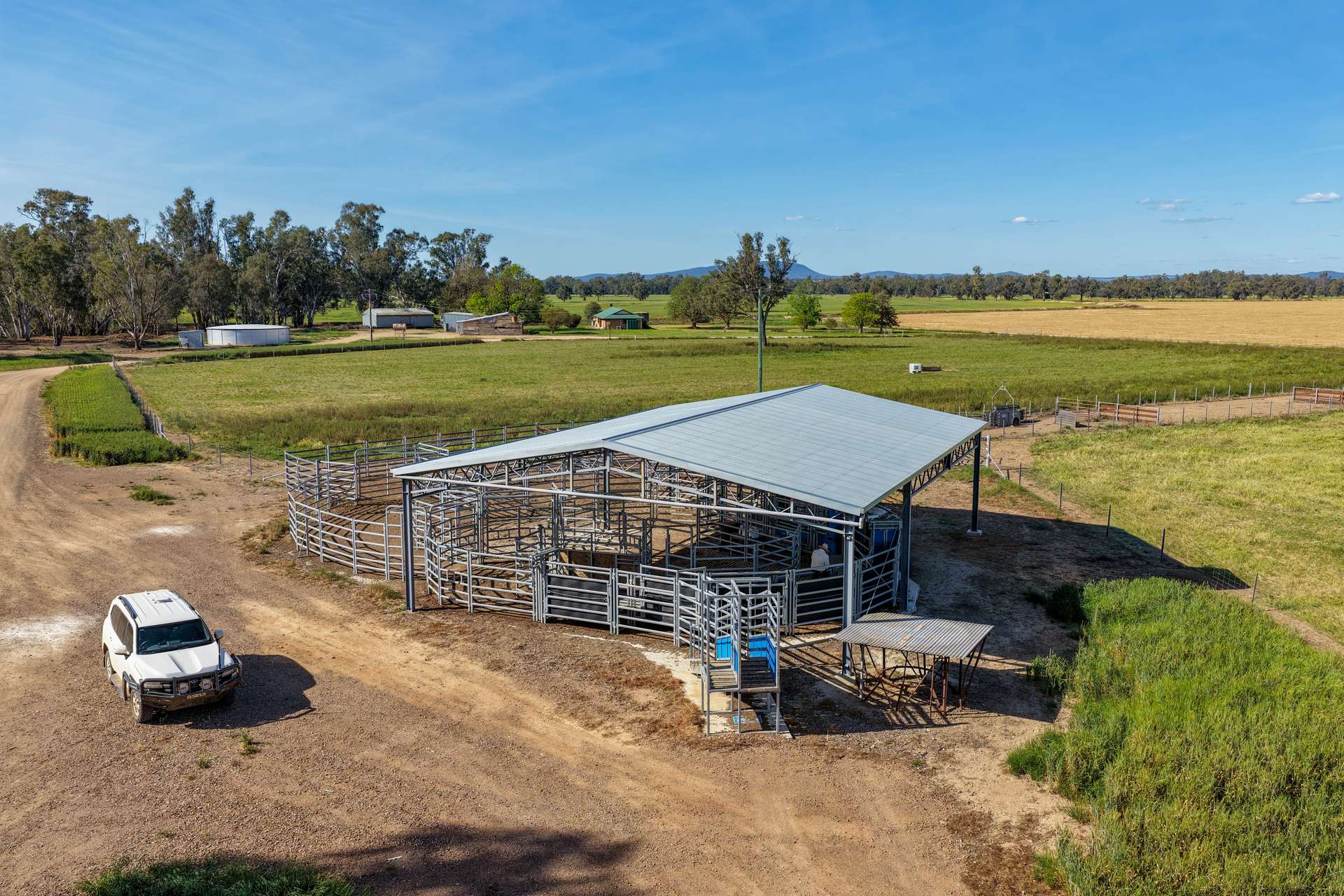 "Walangle" 84 Ercildoune Lane, Forbes Tender by Farmbuy.com - image 3