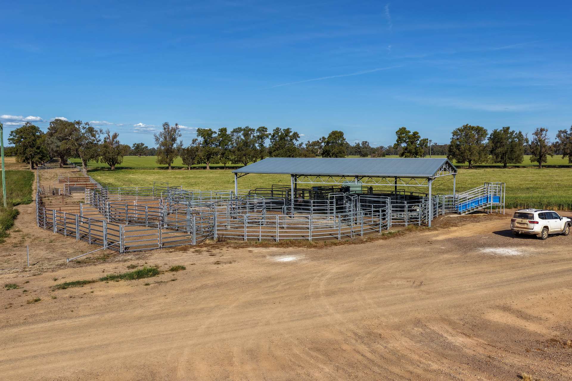 "Walangle" 84 Ercildoune Lane, Forbes Tender by Farmbuy.com - image 7