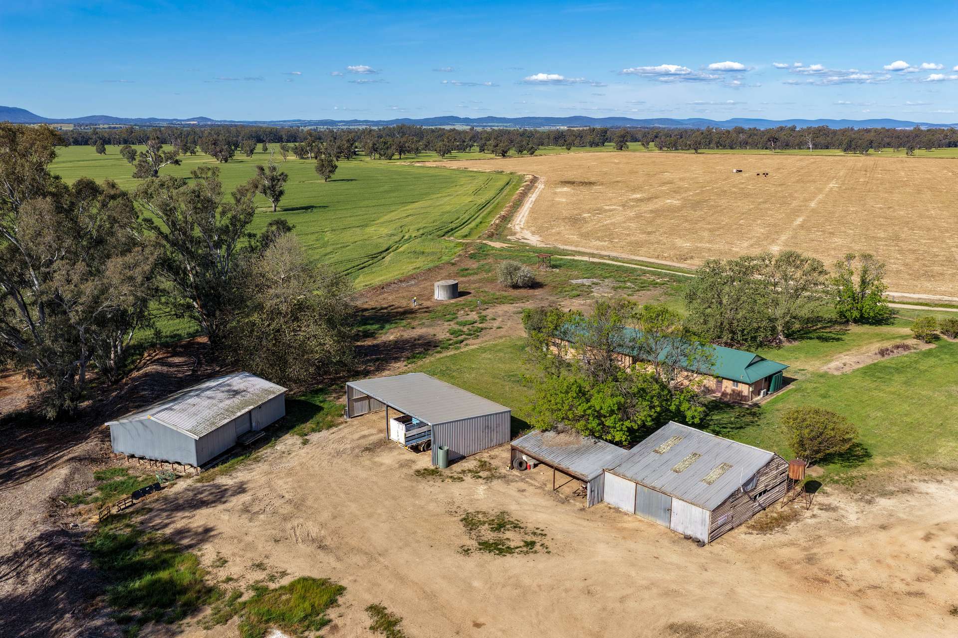 "Walangle" 84 Ercildoune Lane, Forbes Tender by Farmbuy.com - image 11
