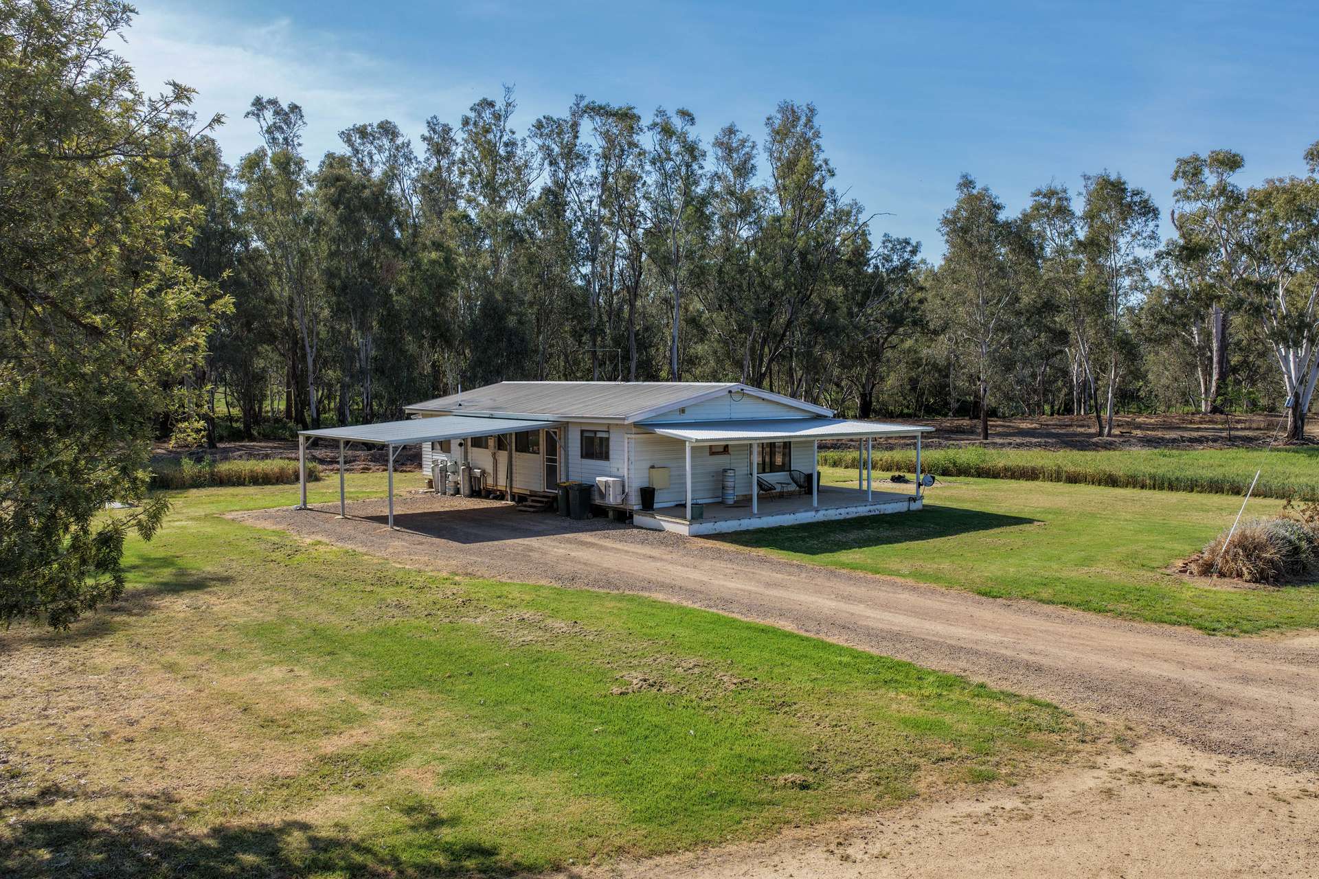 "Walangle" 84 Ercildoune Lane, Forbes Tender by Farmbuy.com - image 9