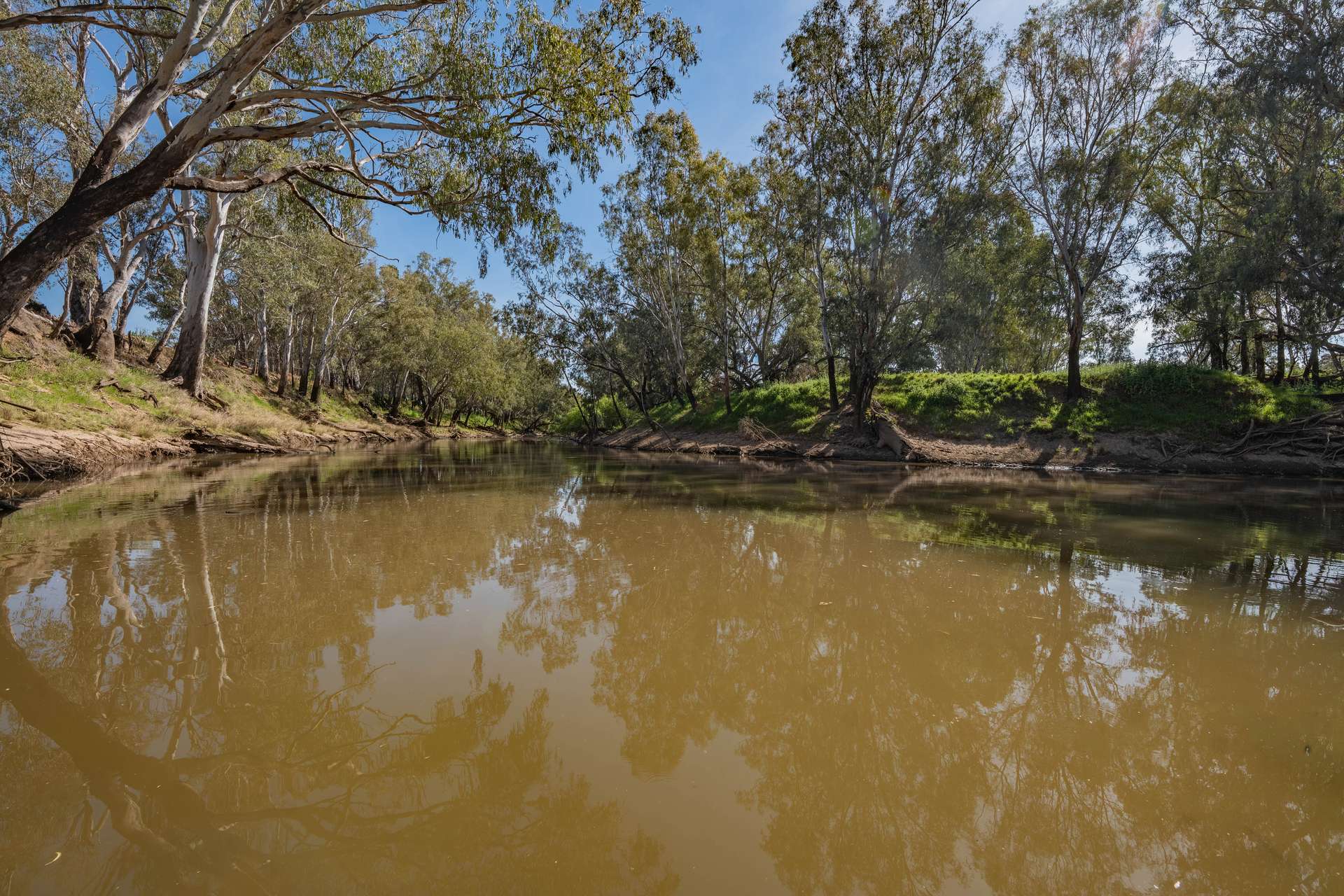 "Walangle" 84 Ercildoune Lane, Forbes Tender by Farmbuy.com - image 25