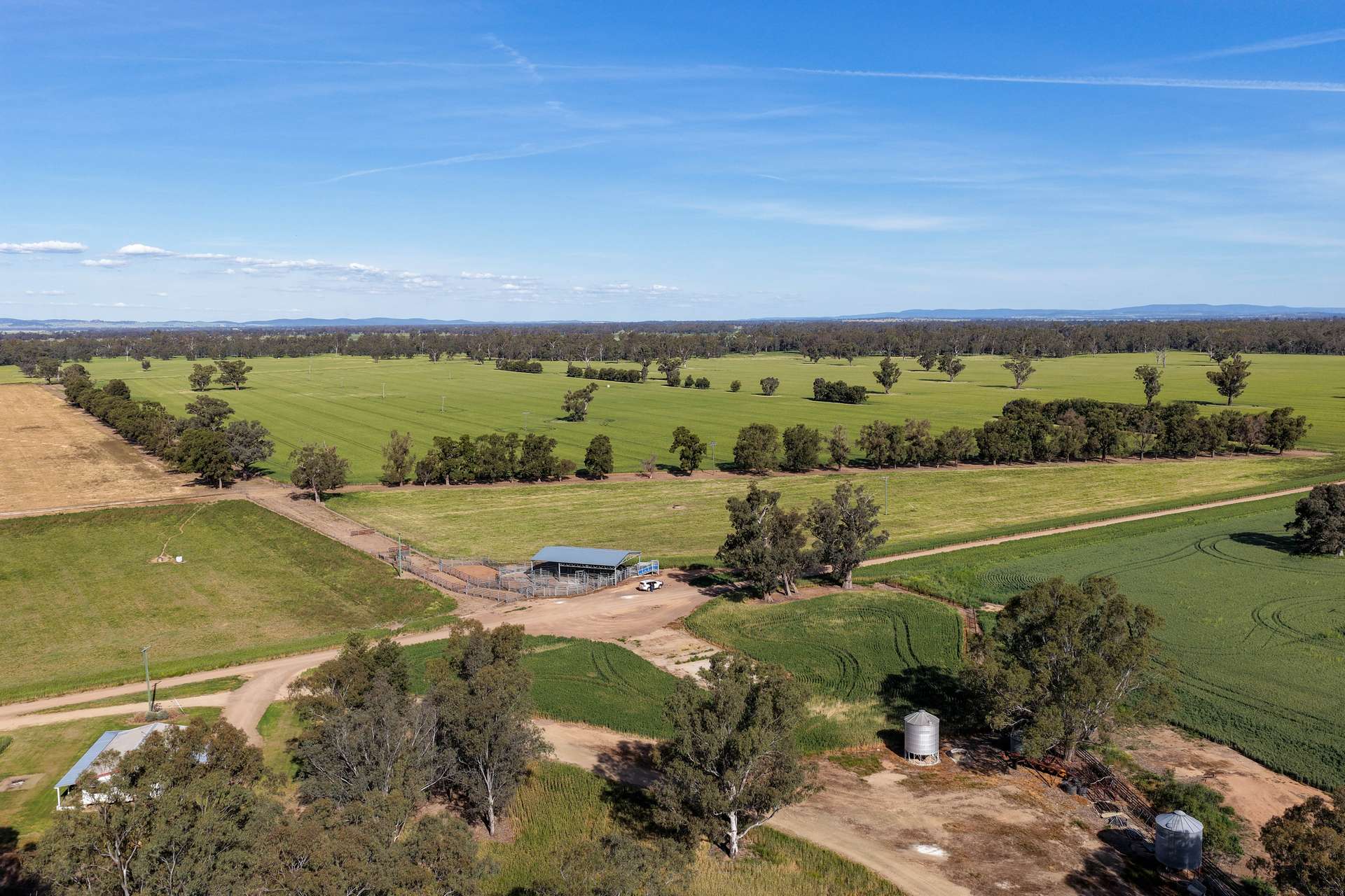 "Walangle" 84 Ercildoune Lane, Forbes Tender by Farmbuy.com - image 20
