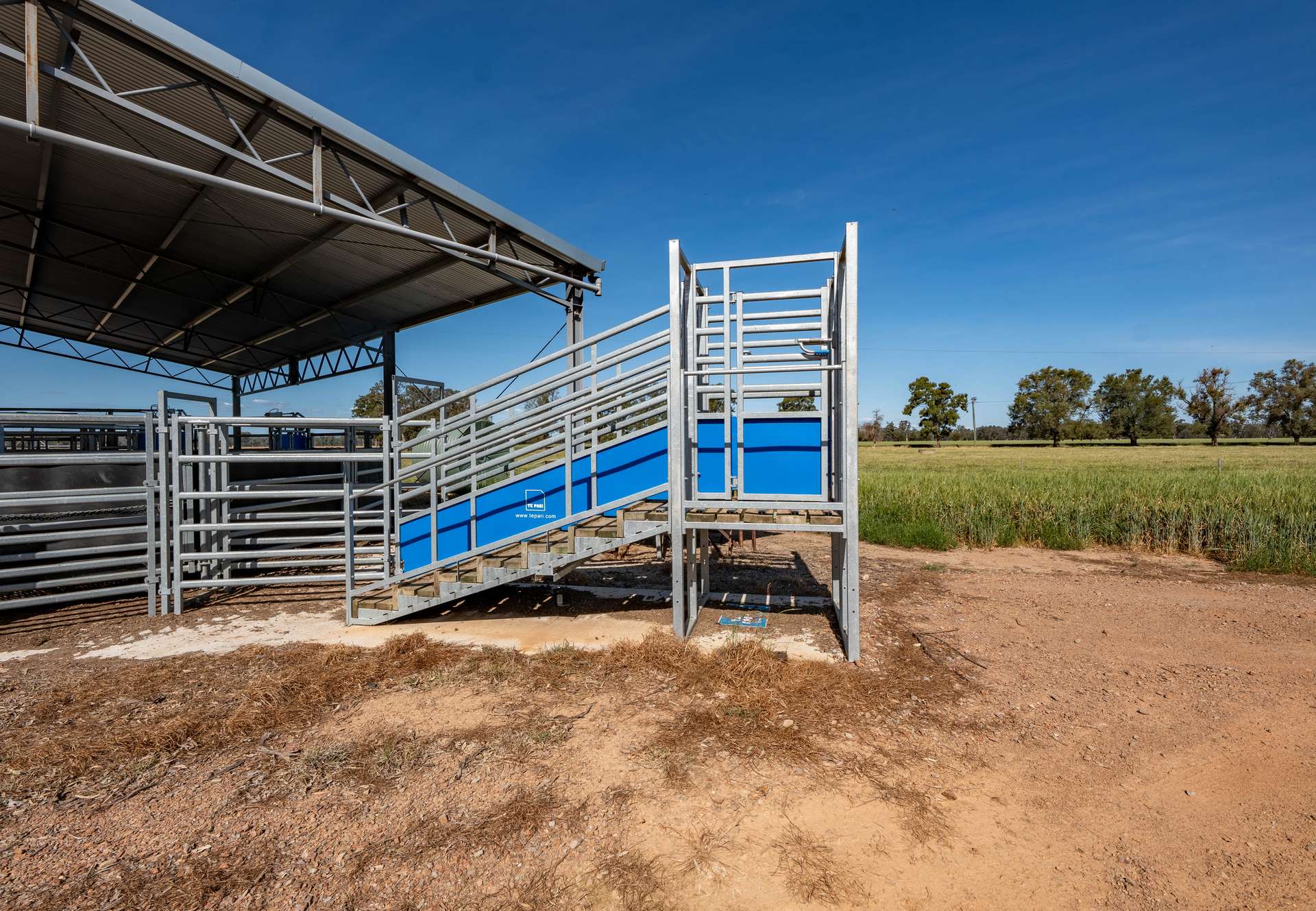 "Walangle" 84 Ercildoune Lane, Forbes Tender by Farmbuy.com - image 24