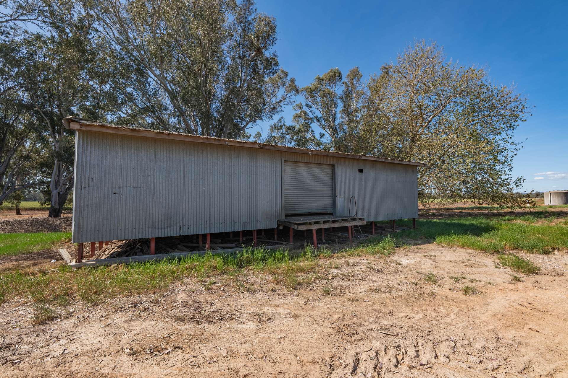 "Walangle" 84 Ercildoune Lane, Forbes Tender by Farmbuy.com - image 23
