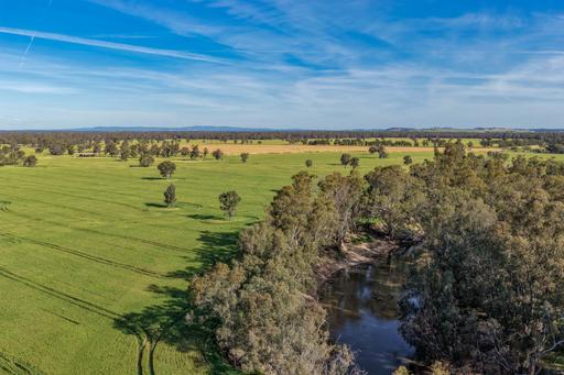 Farm Tender - NSW - Forbes - 2871 - Exceptional Lachlan River Fattening Country 