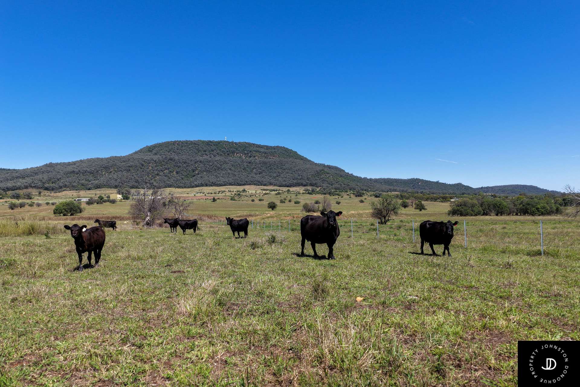 Lot 33, 648 Wandobah Road, Gunnedah Sold by Farmbuy.com - image 2