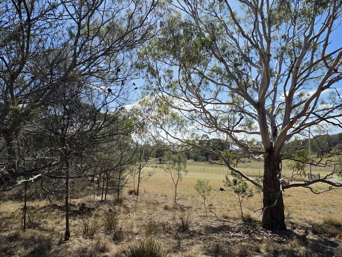 Lot 2, 110 Gordon Street, Swansea For Sale by Farmbuy.com - image 14