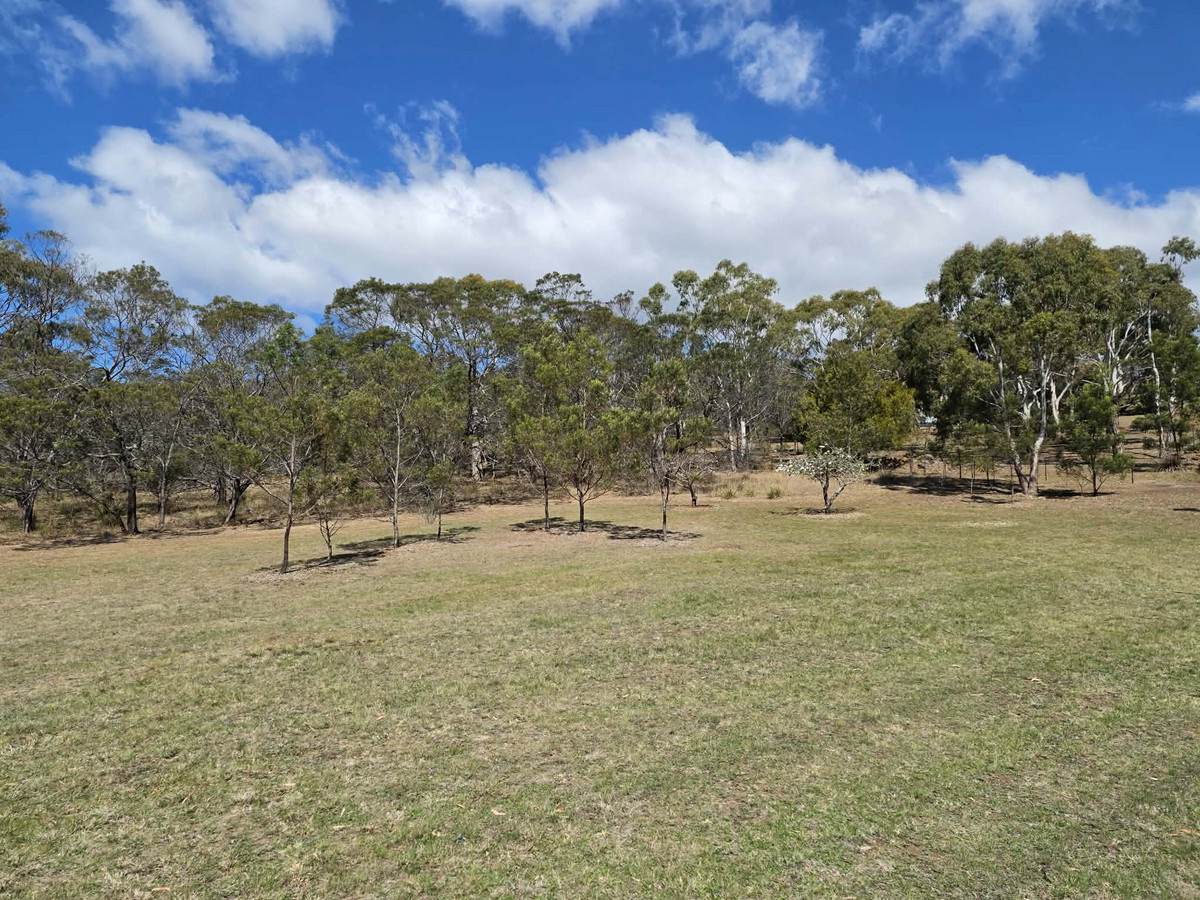 Lot 2, 110 Gordon Street, Swansea For Sale by Farmbuy.com - image 12