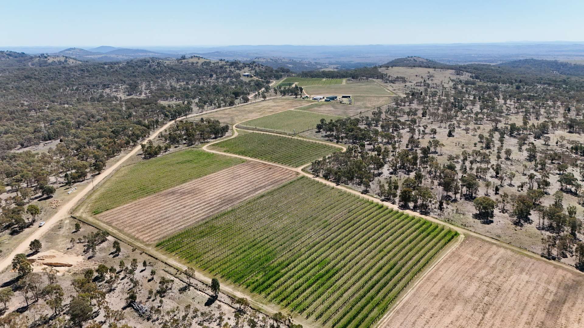 831 Stanthorpe-Inglewood Road, Pikedale For Sale by Farmbuy.com - image 3