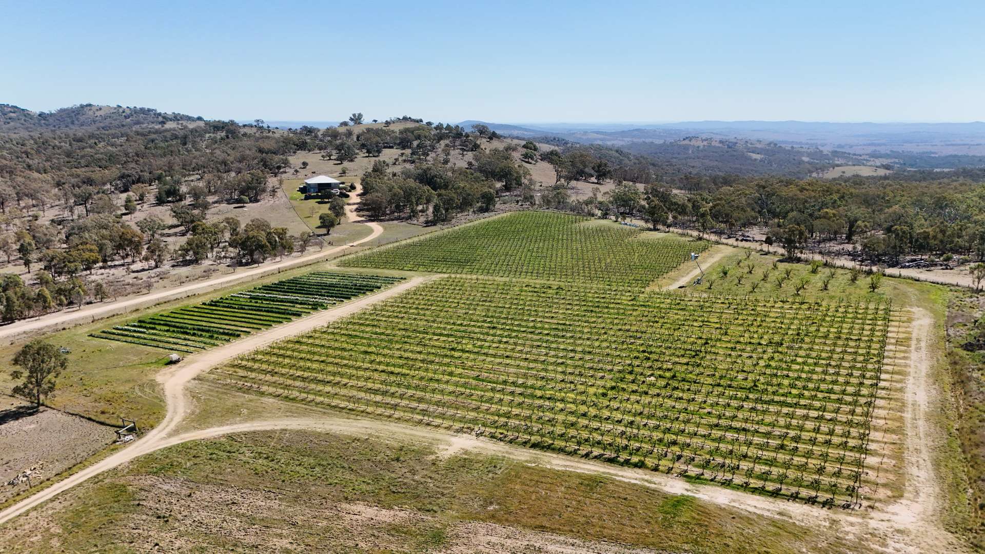 831 Stanthorpe-Inglewood Road, Pikedale For Sale by Farmbuy.com - image 5